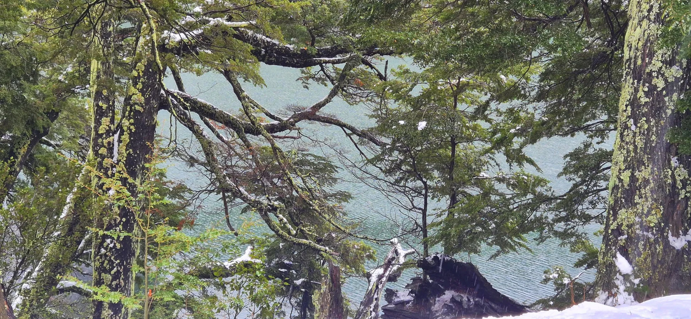 Foto do album Rota dos Sete Lagos