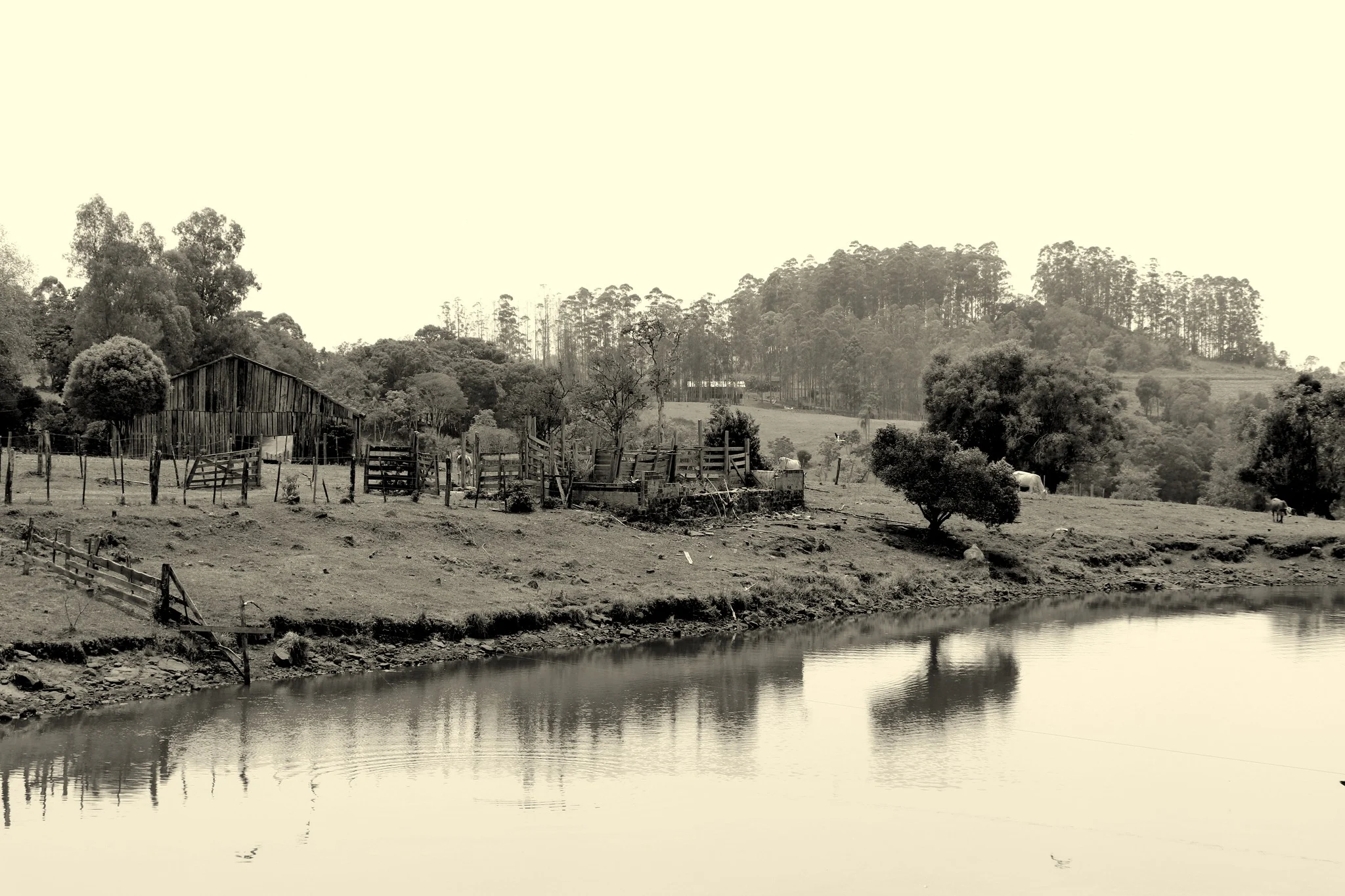 Paisagem rural