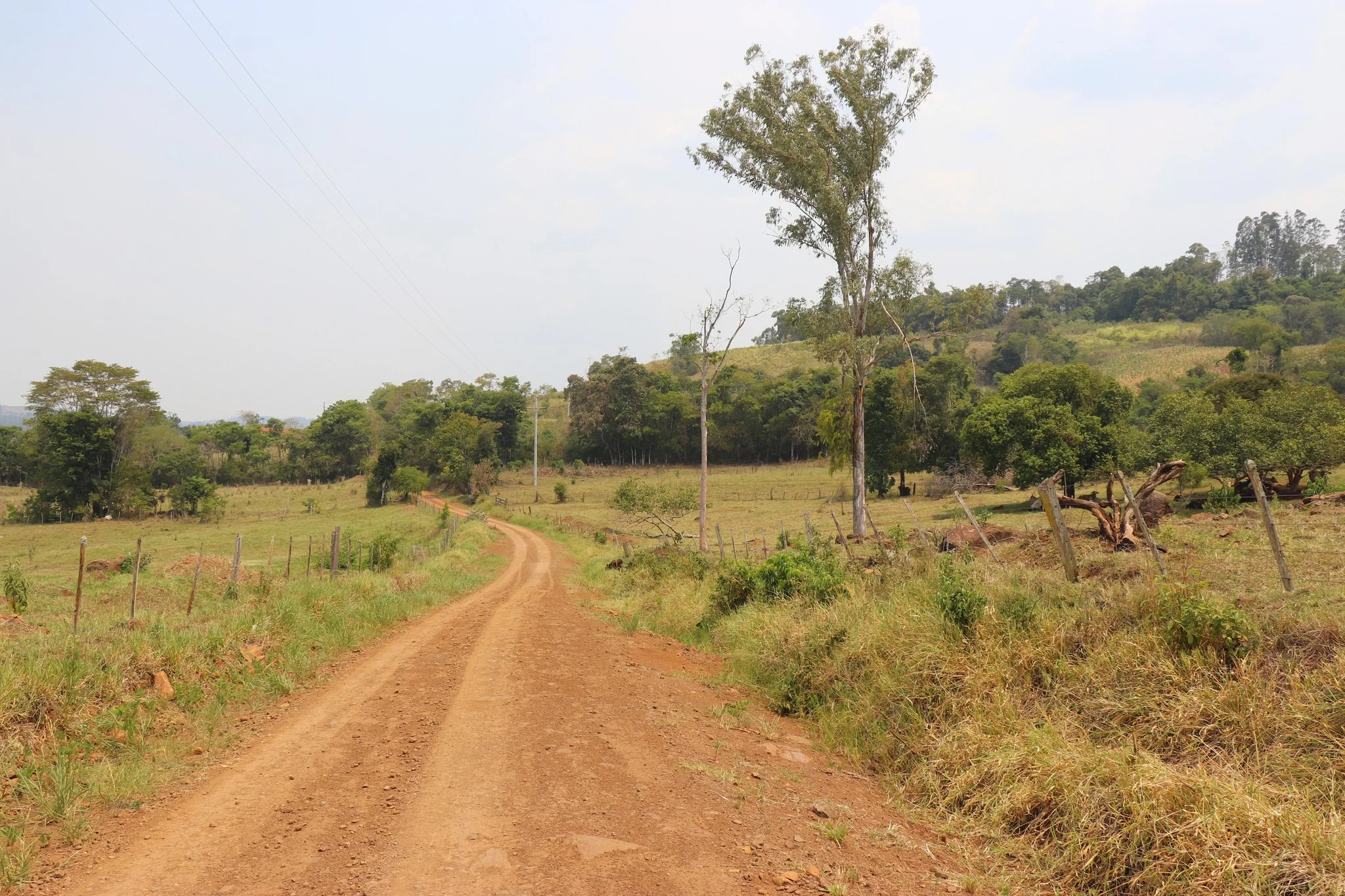 Foto do album Alpestre
