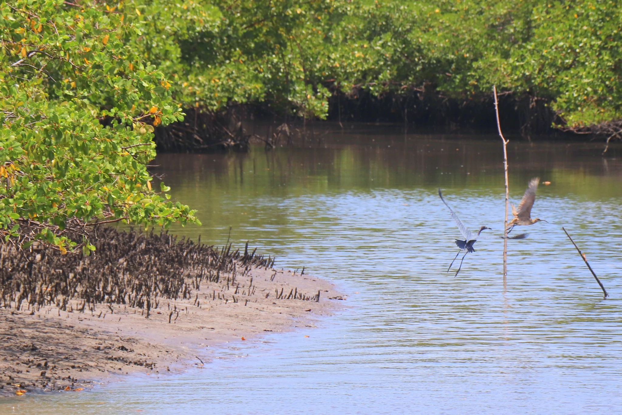 Foto do album Barra do Cunhaú