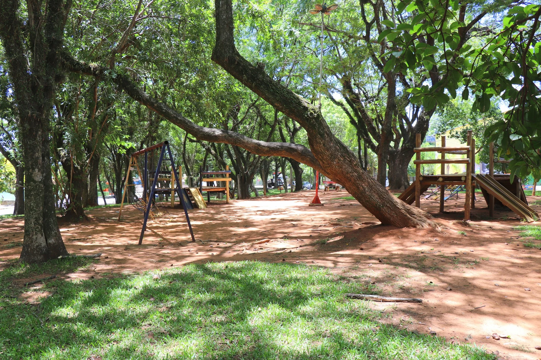 Foto do album Butiá