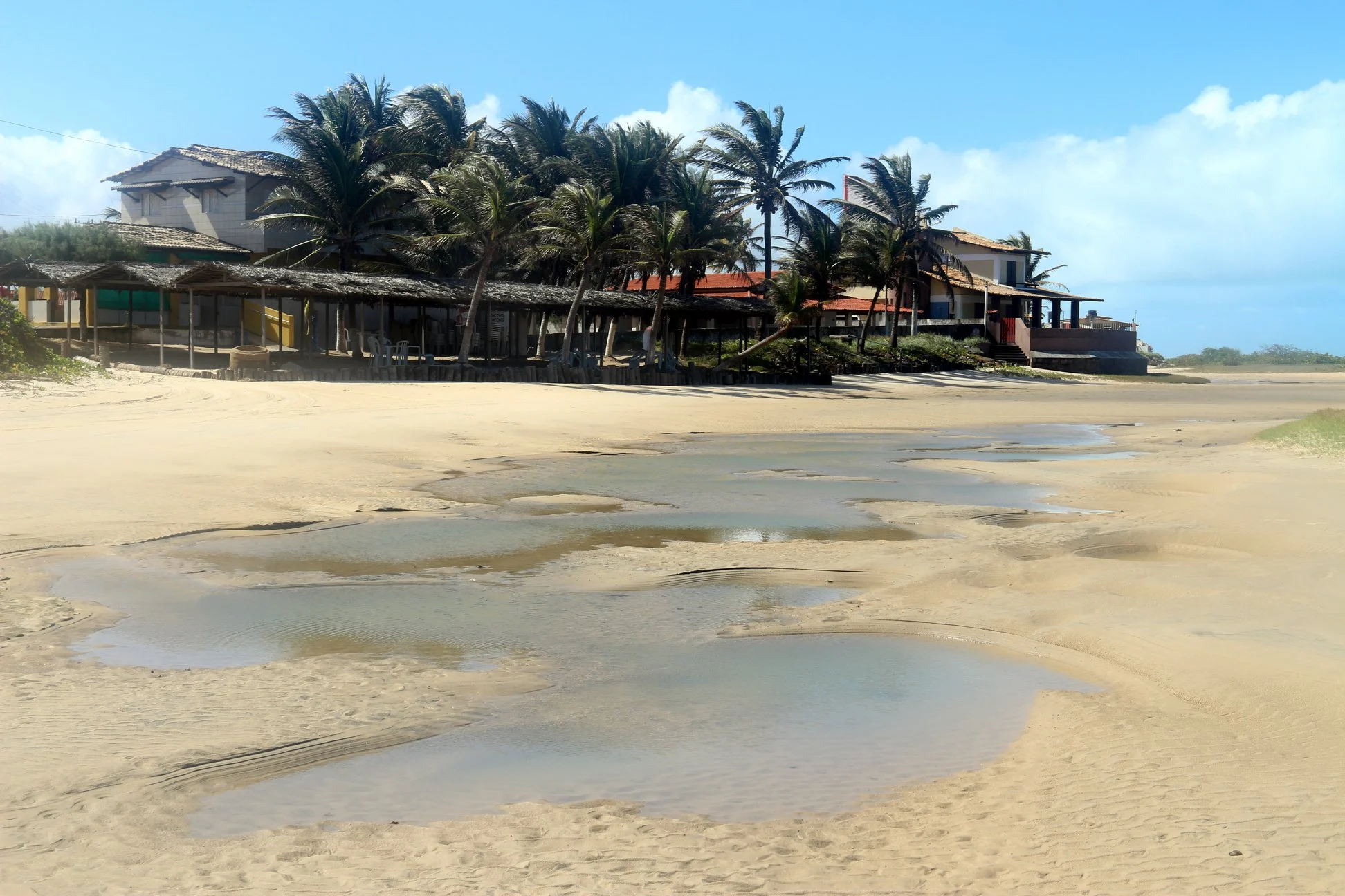 Foto do album Praia de Camurupim