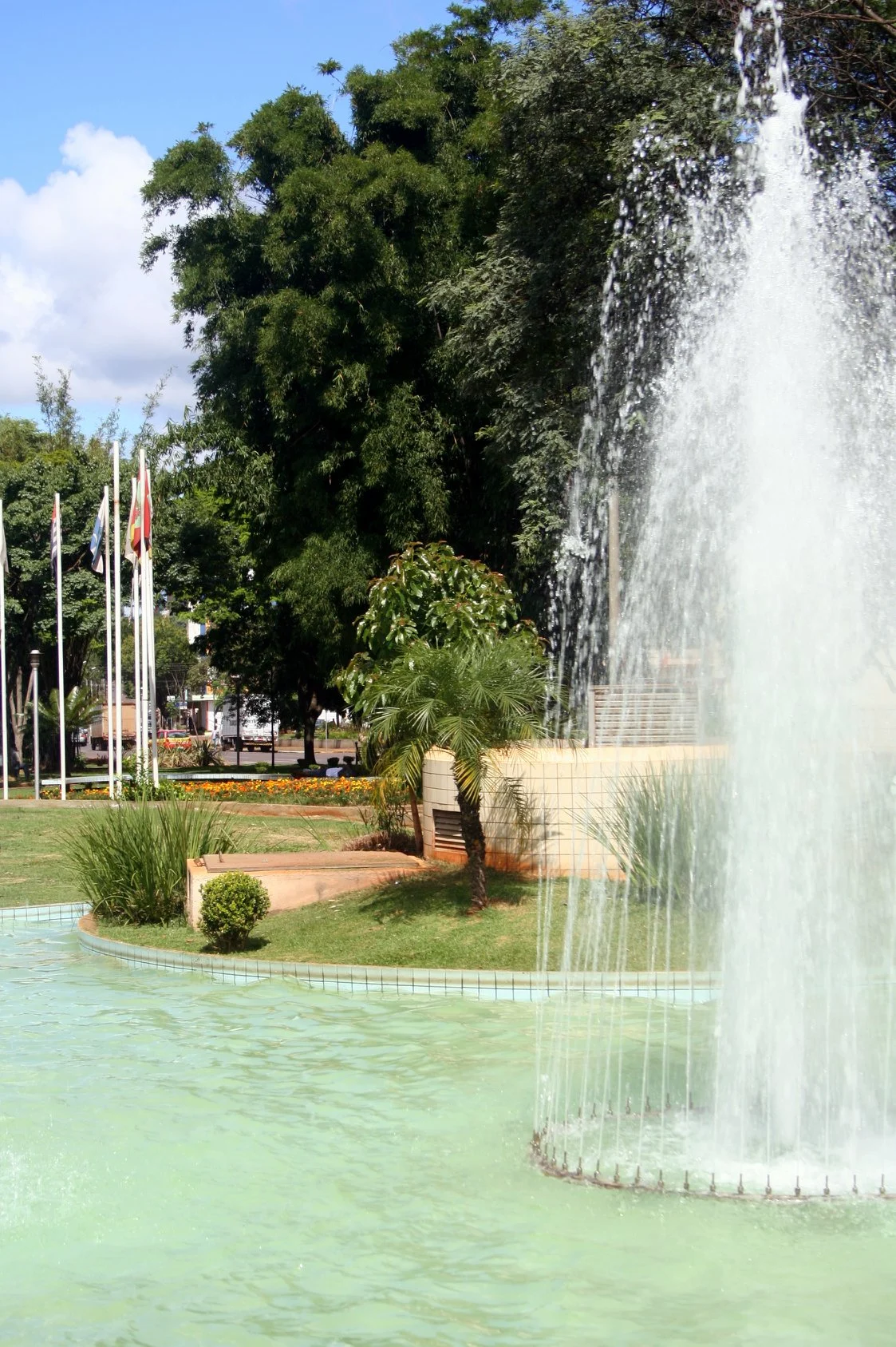 Foto do album Cascavel