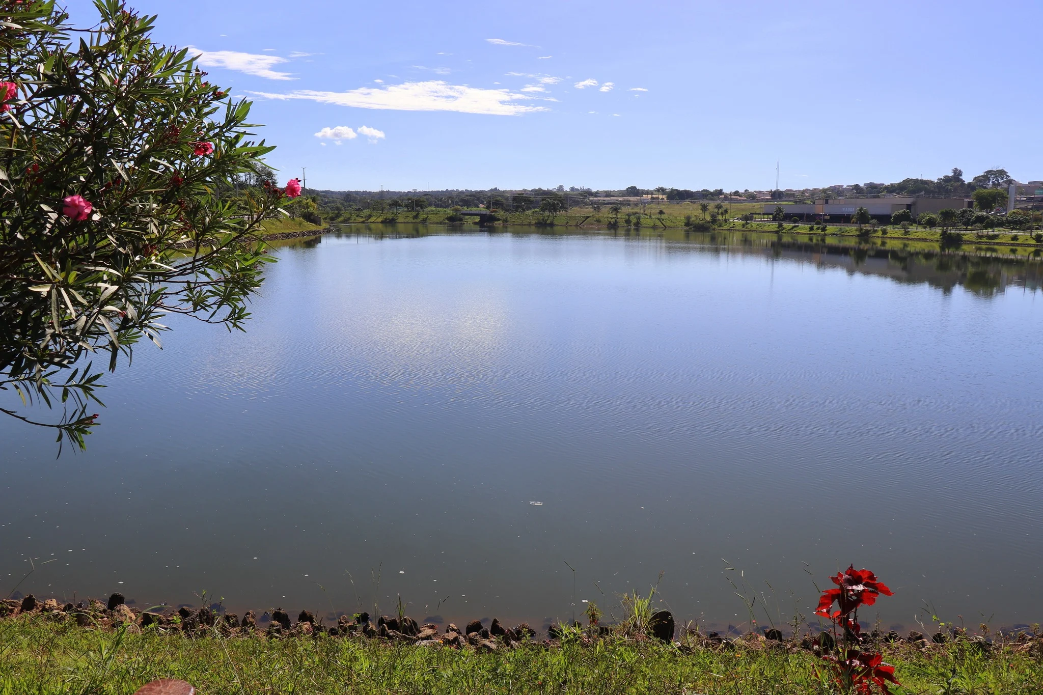 Foto do album Cidade Ocidental