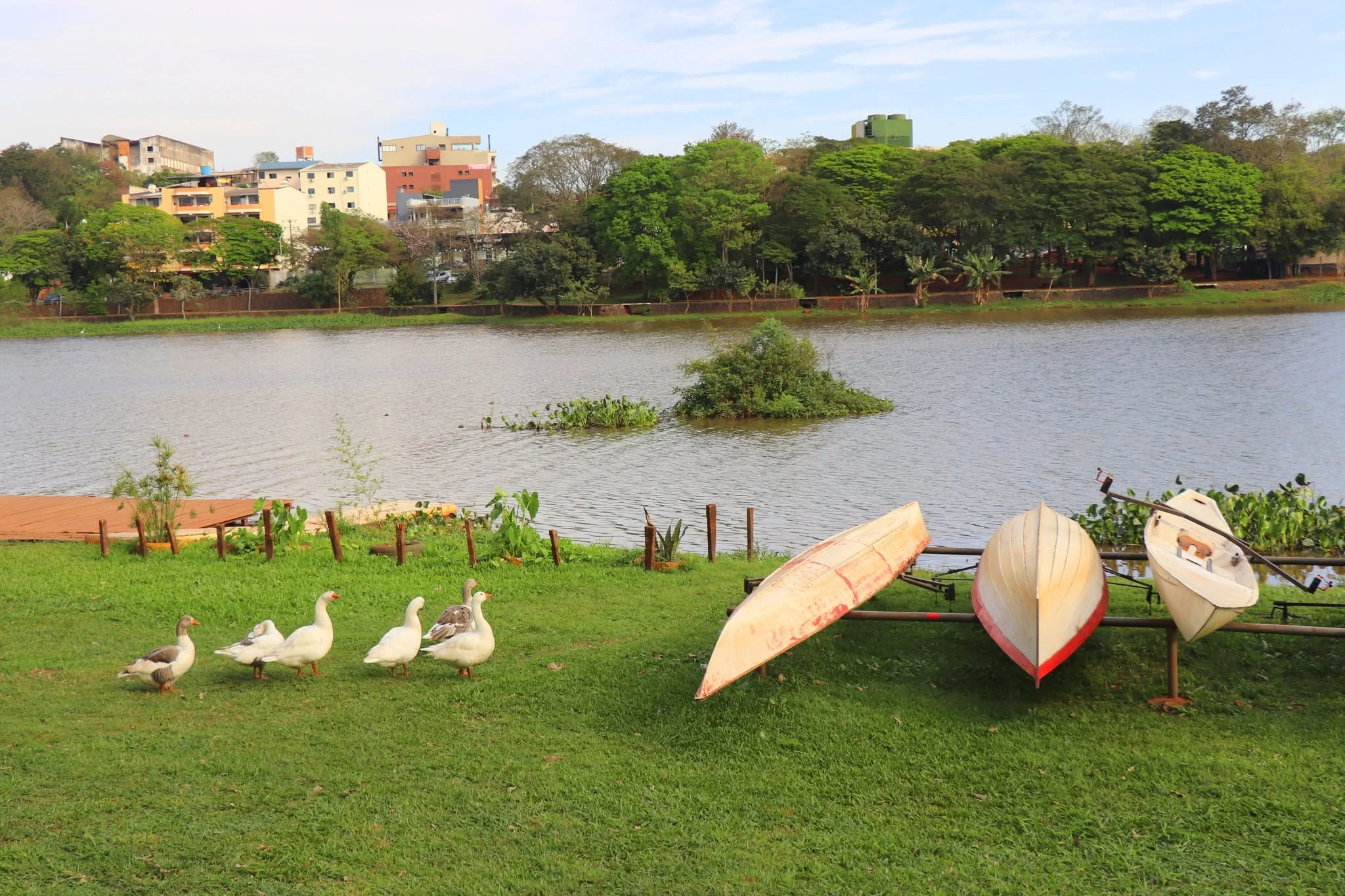 Foto do album Ciudad del Este