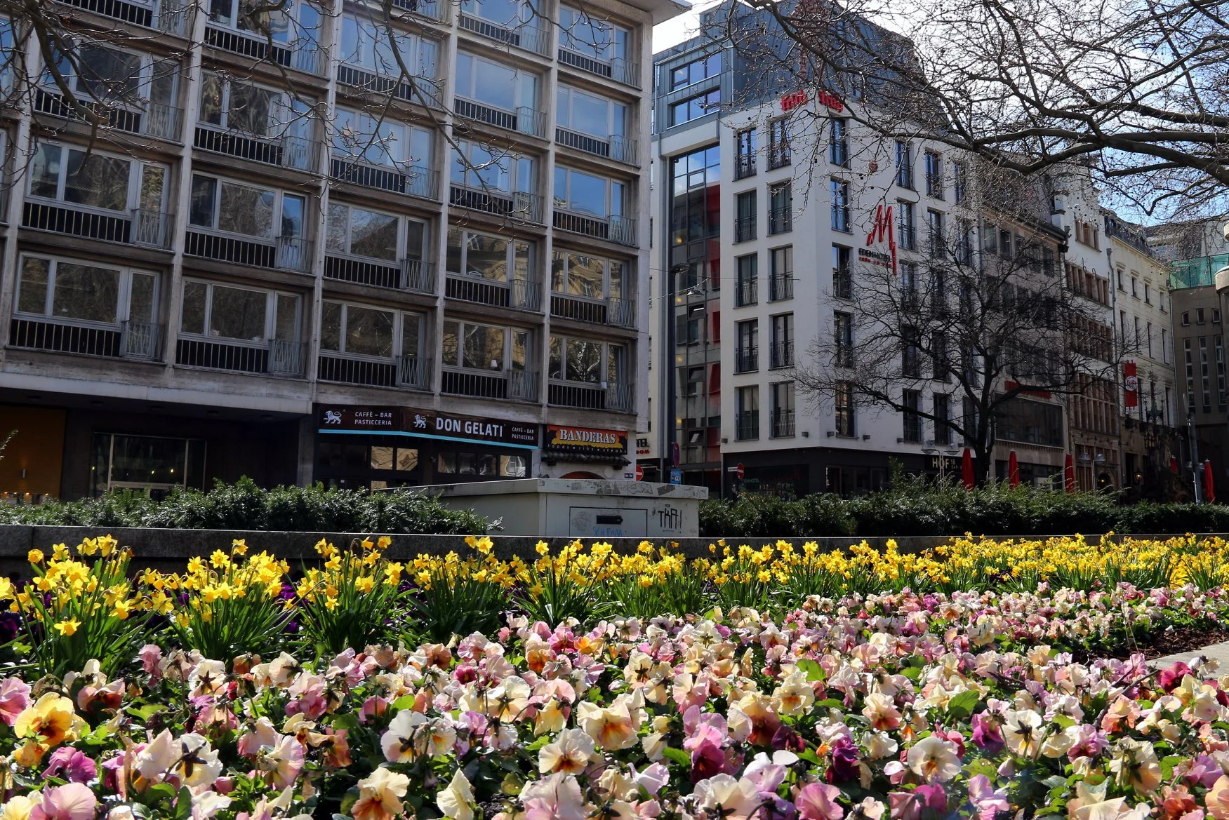 As flores da primavera colorem a cidade