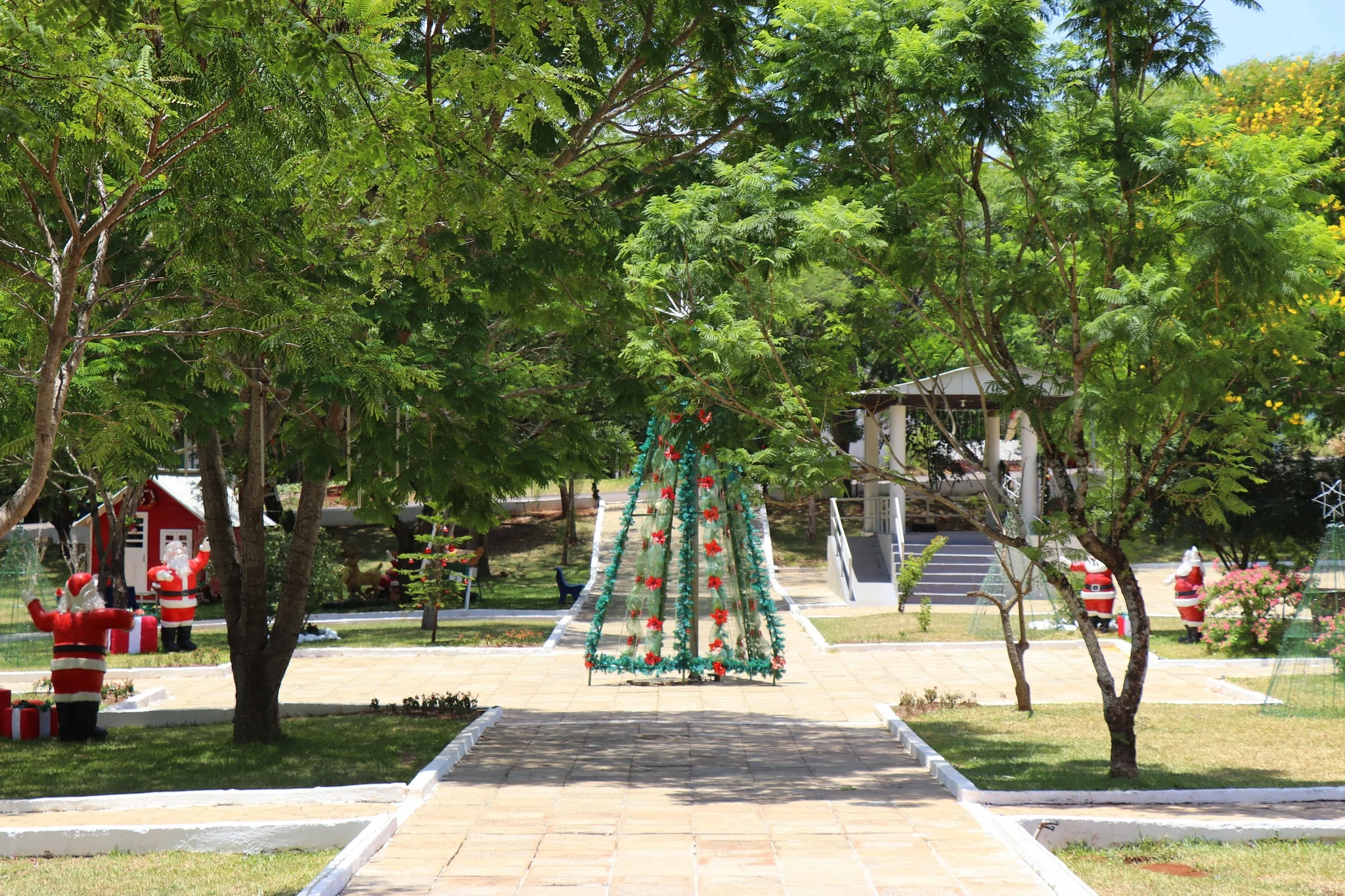 Foto do album Cristal do Sul