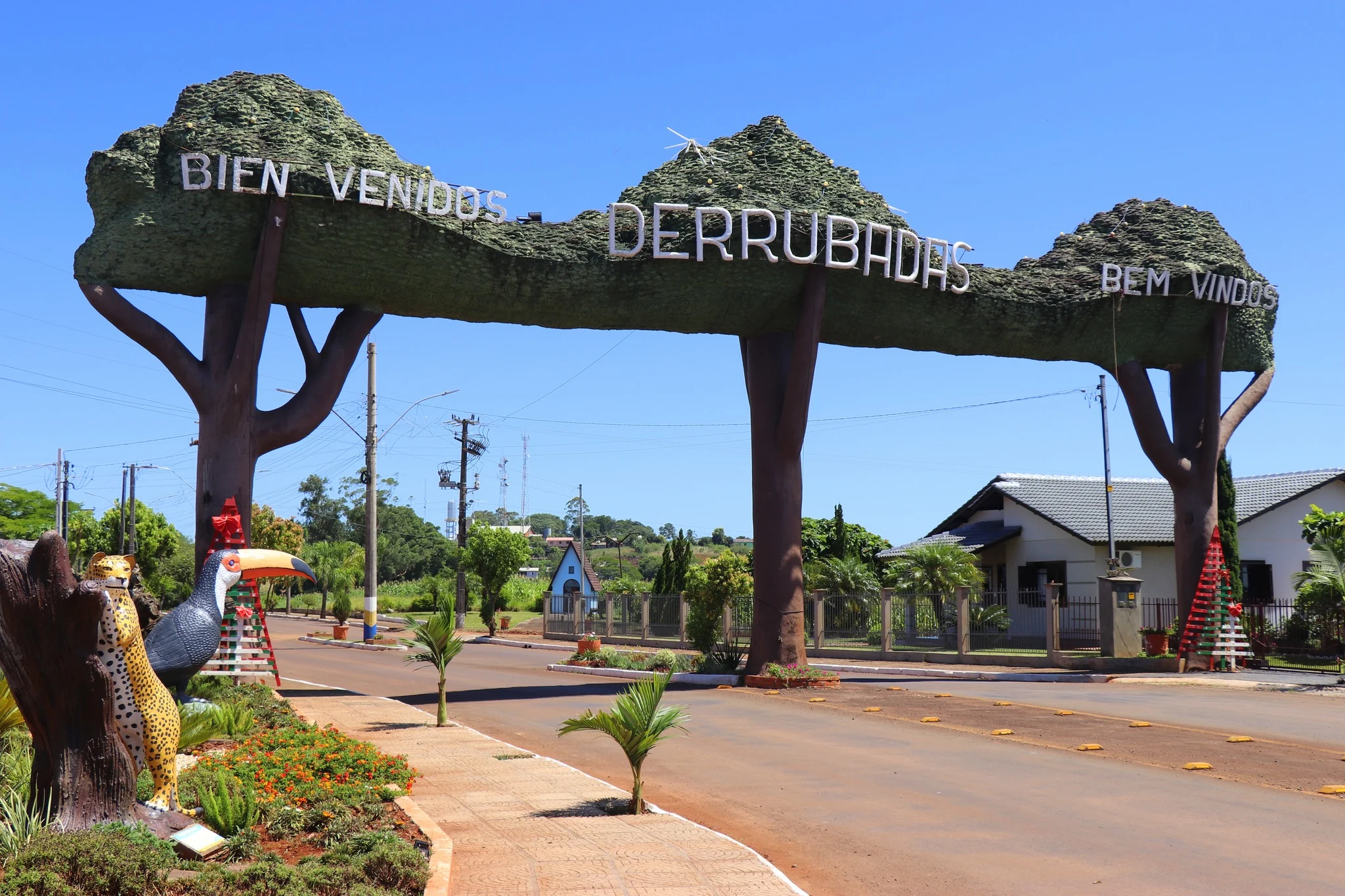 Foto do album Derrubadas
