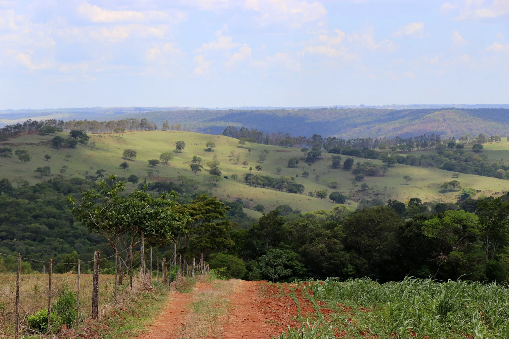 Foto do album Diamante D'Oeste