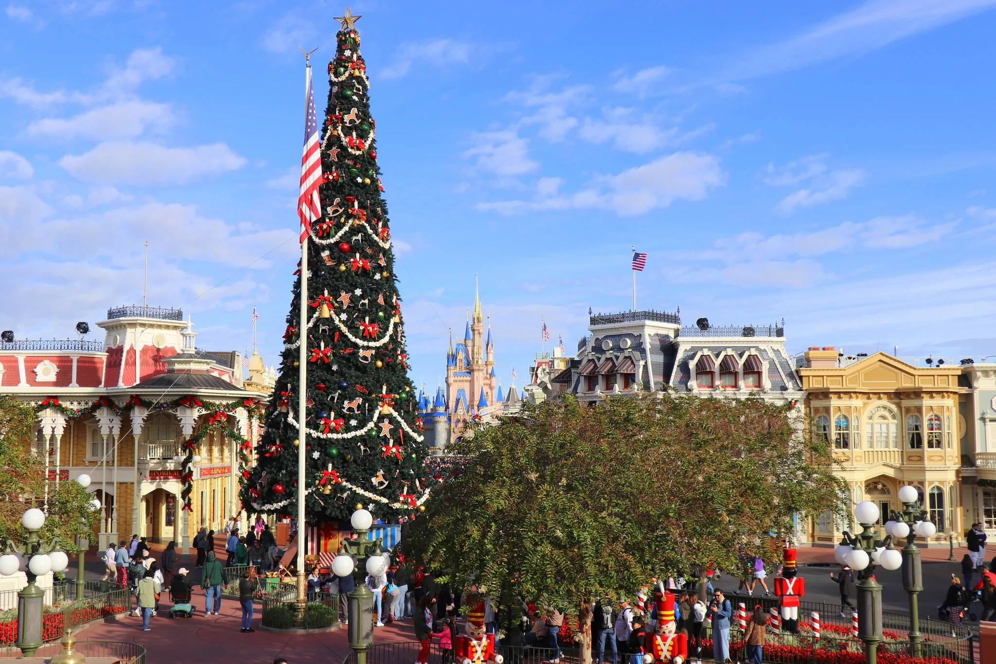 Foto do album Disney Magic Kingdom