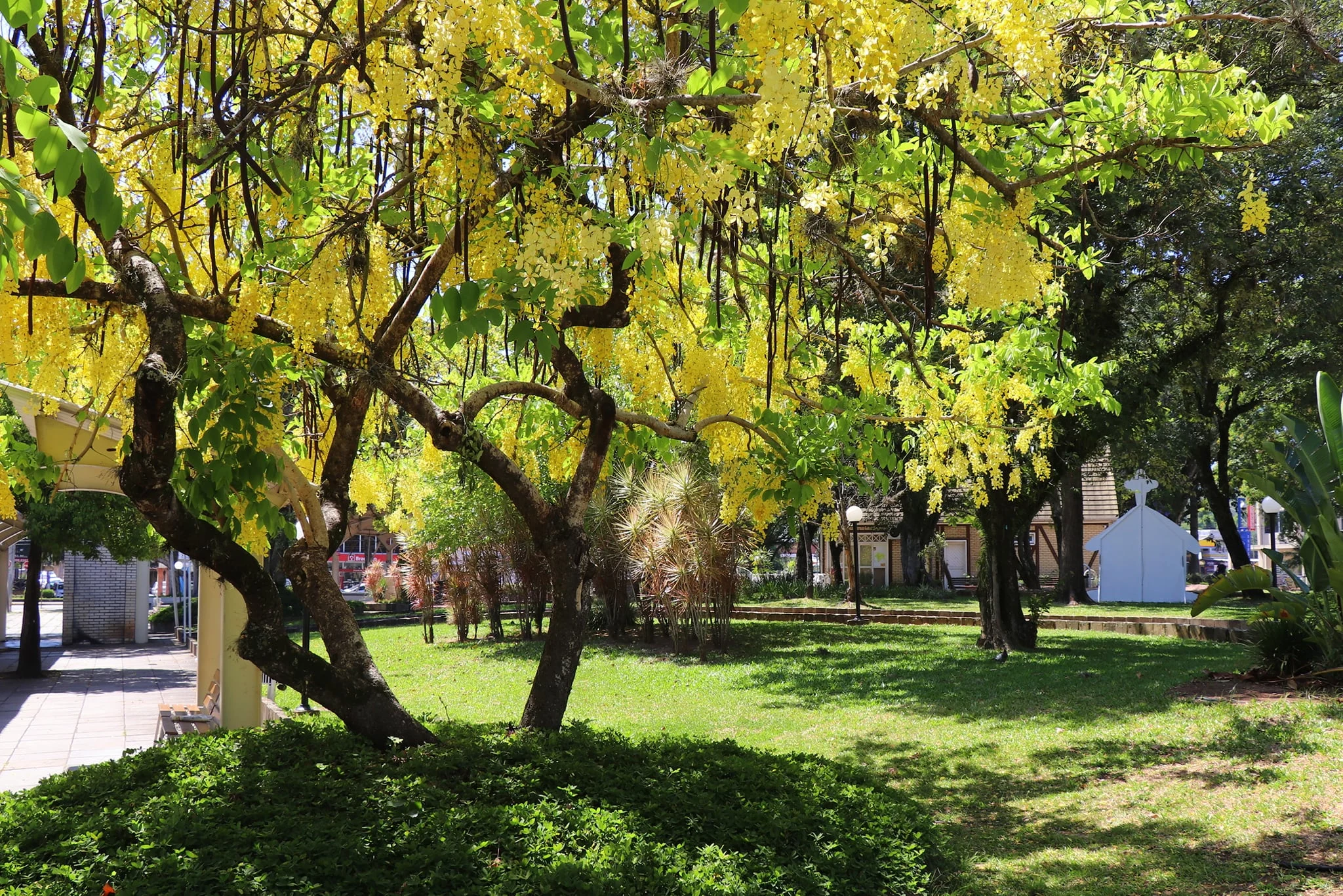 Praça 1º de Maio