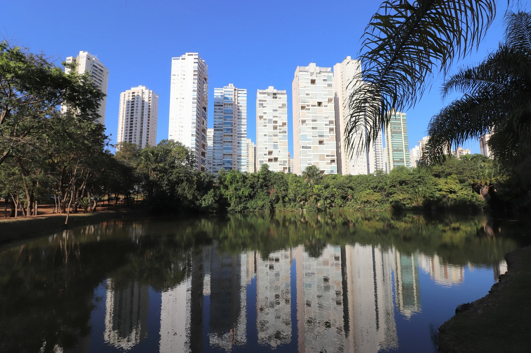 Parque Flamboyant