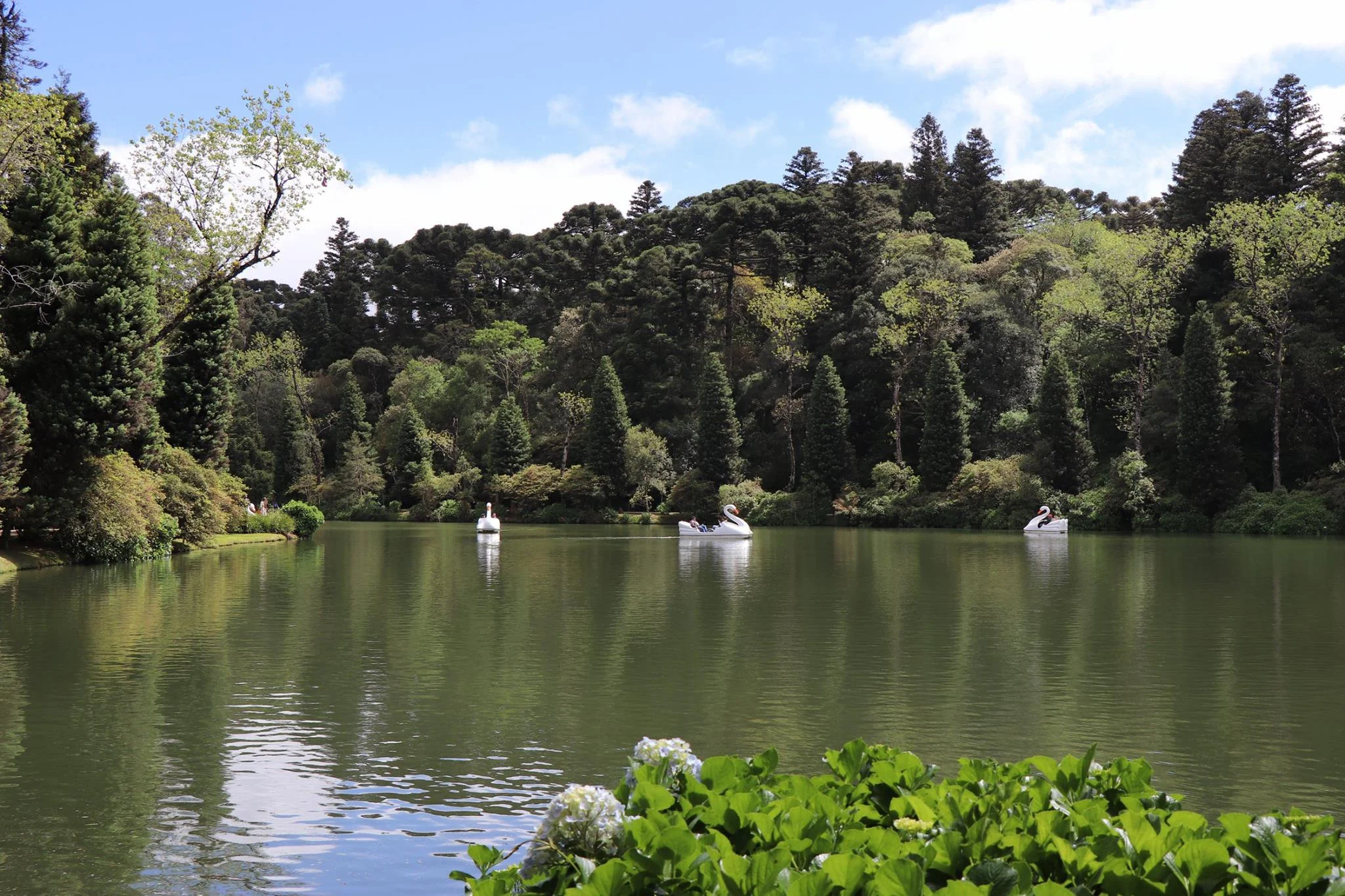 Lago Negro