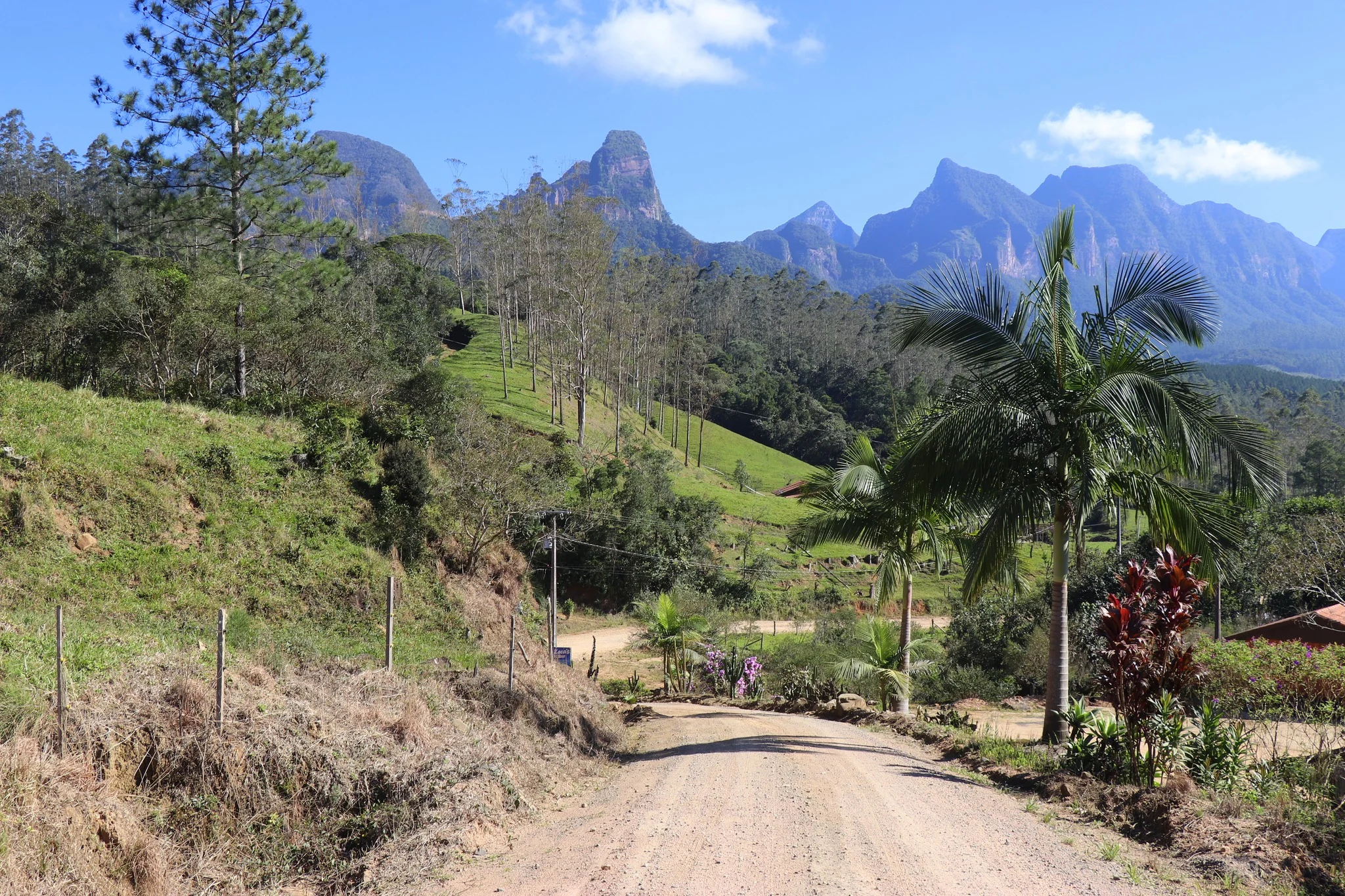 Foto do album Grão-Pará