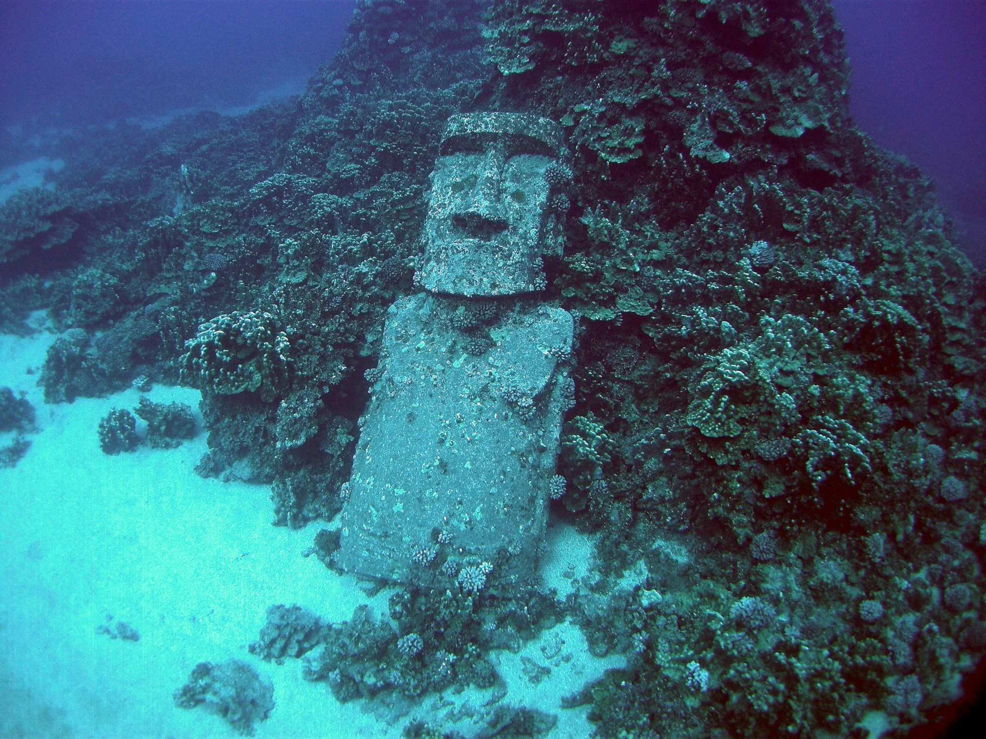 El Moai Sumergido - melhor ponto de mergulho na ilha