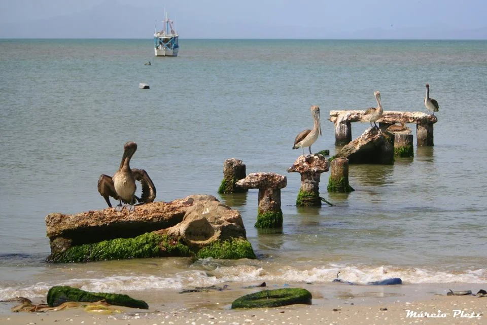 Foto do album Isla Margarita