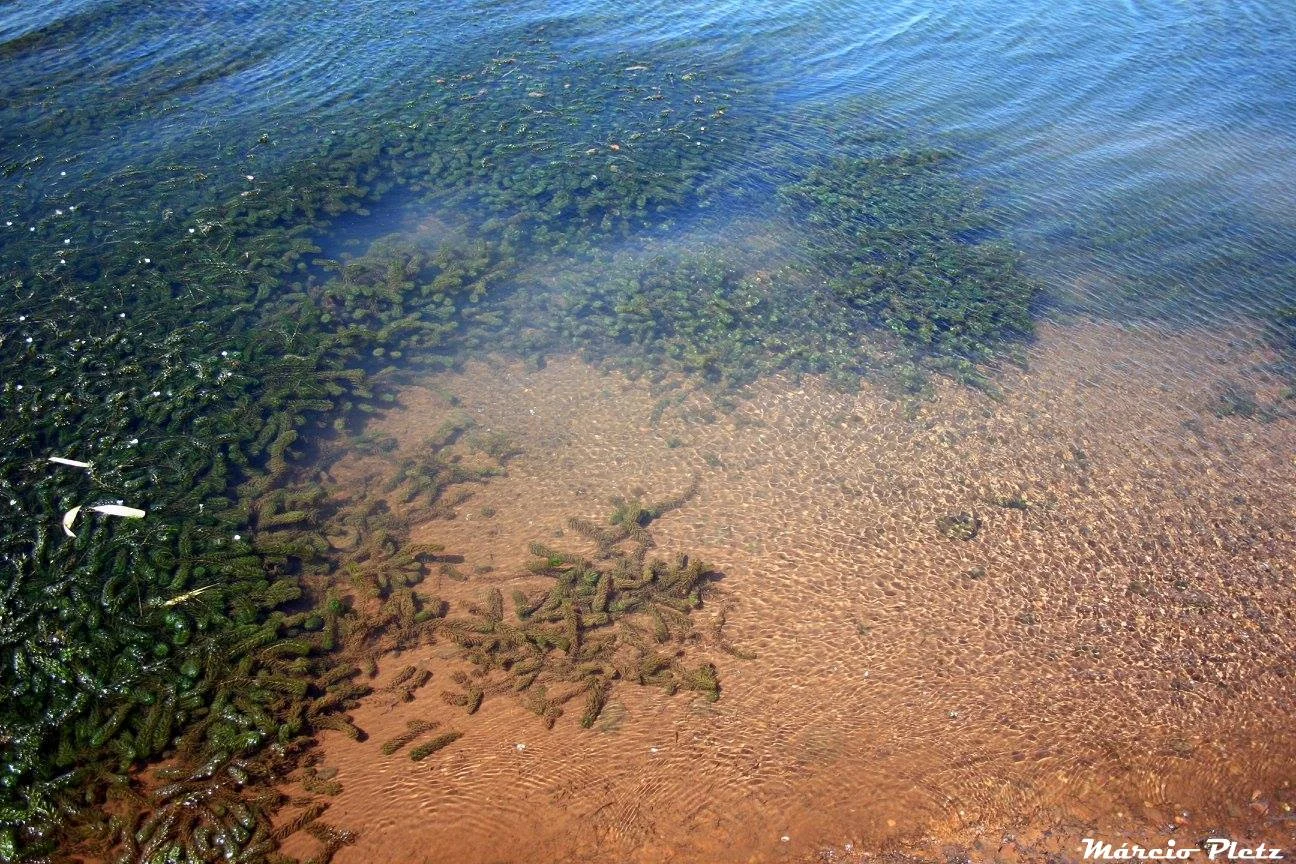 Rio Grande