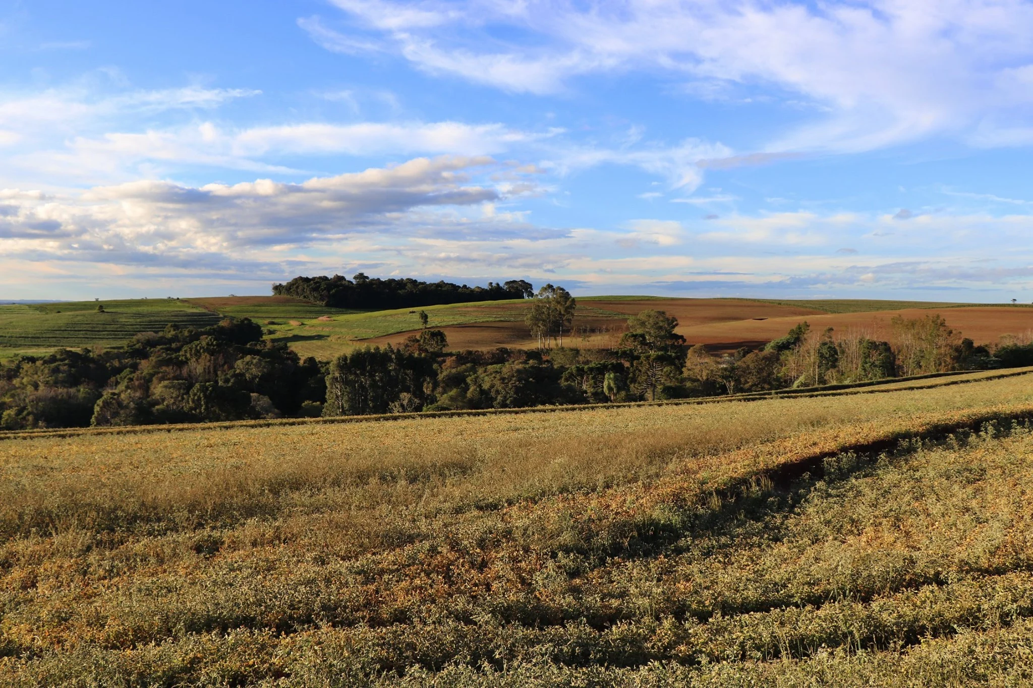 Foto do album Itapejara D'Oeste