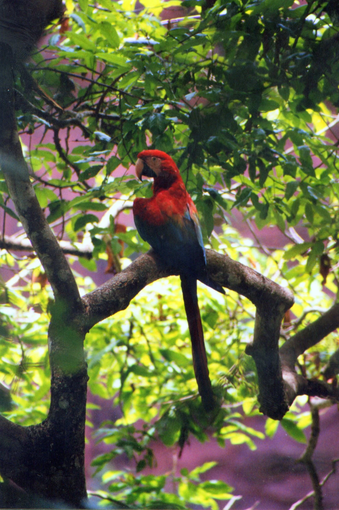 Buraco das Araras