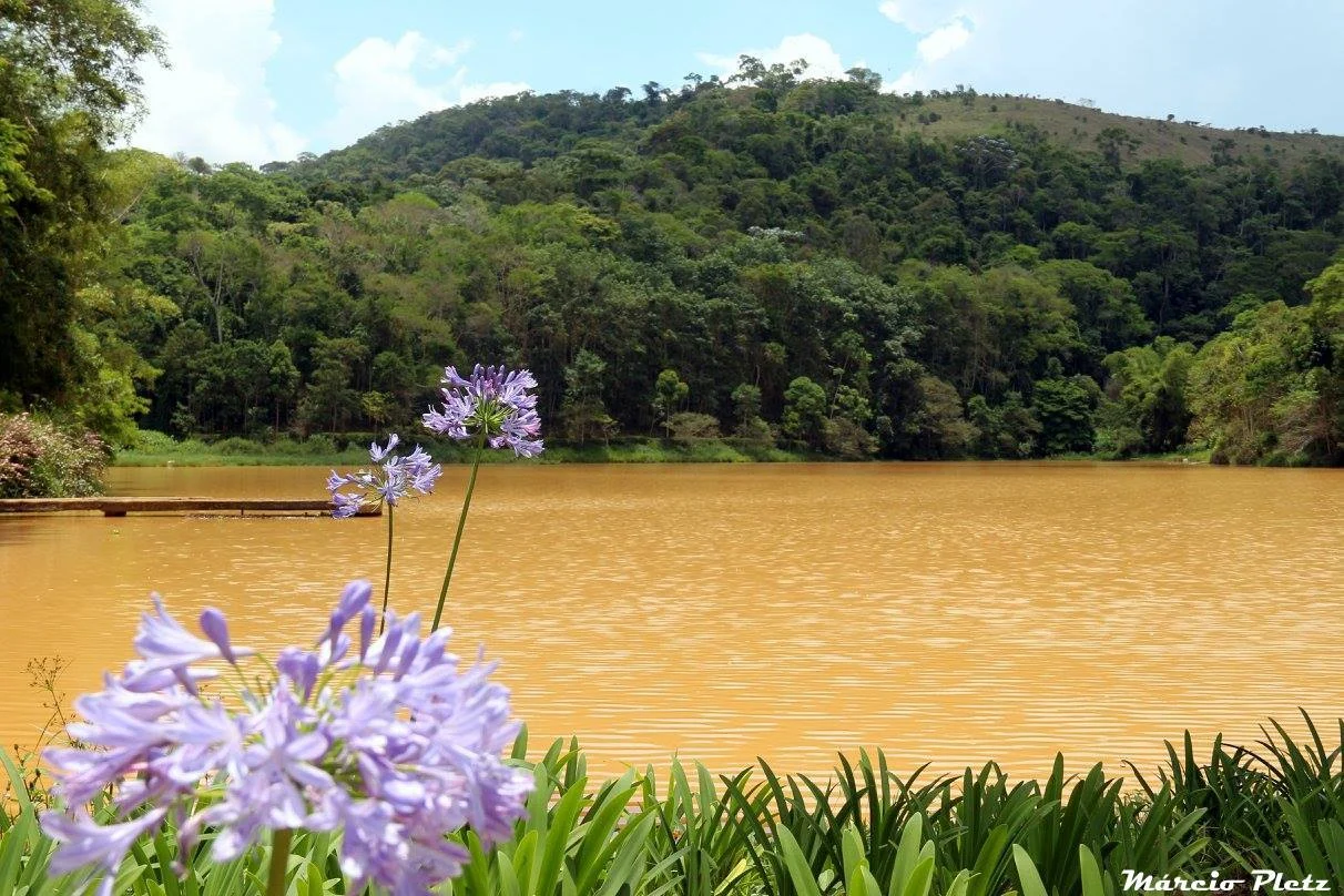 Foto do album Juiz de Fora