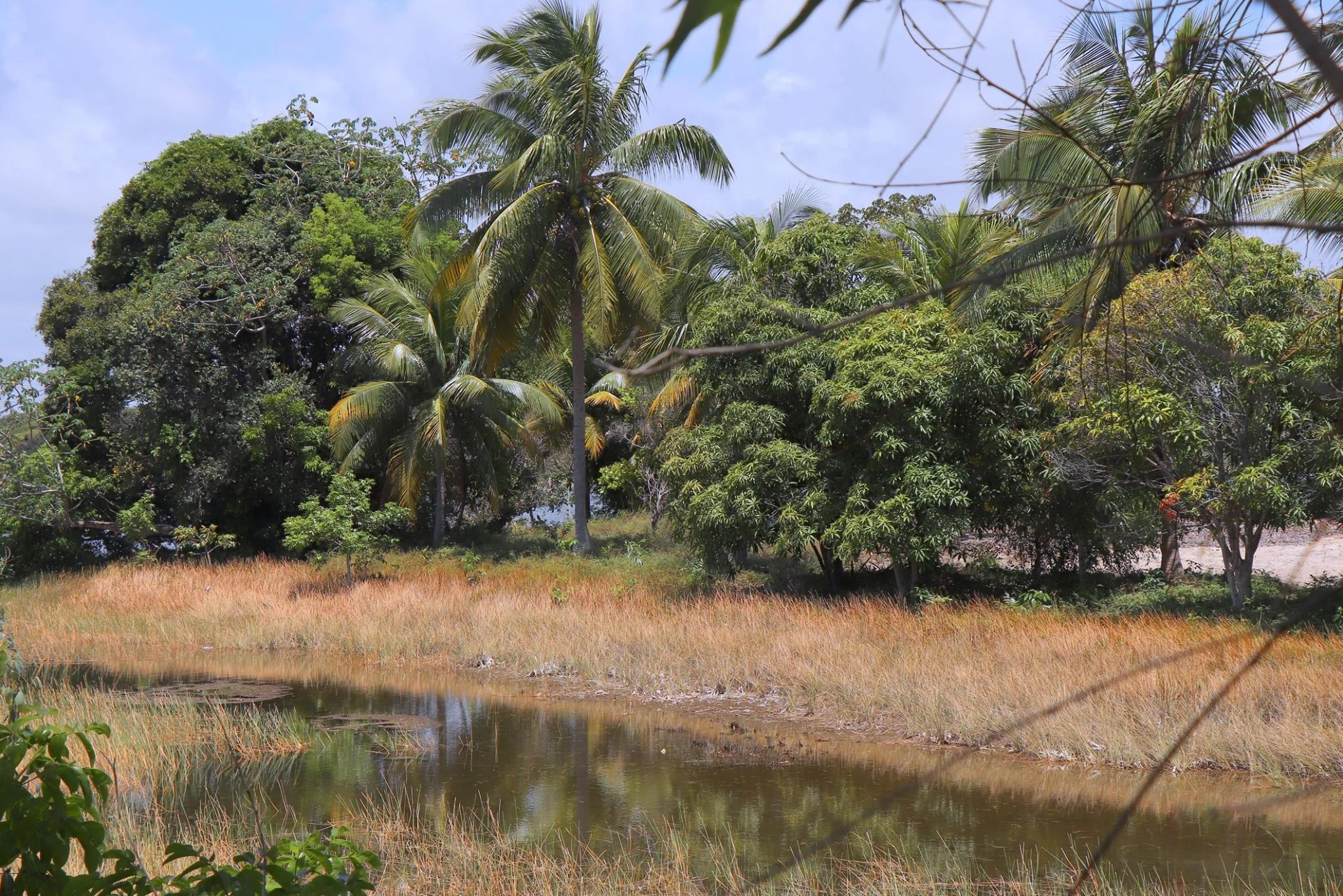 Foto do album Lagoa dos Tambaquis