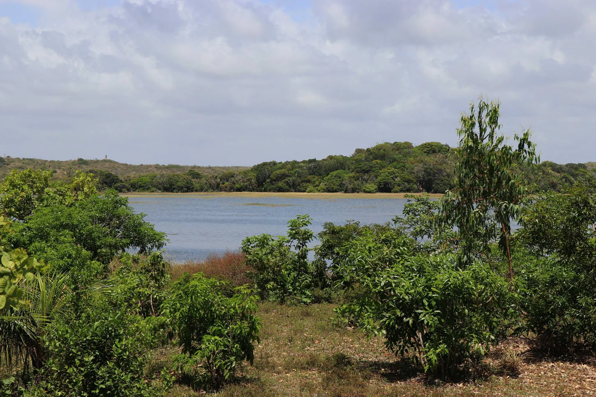 Foto do album Lagoa dos Tambaquis