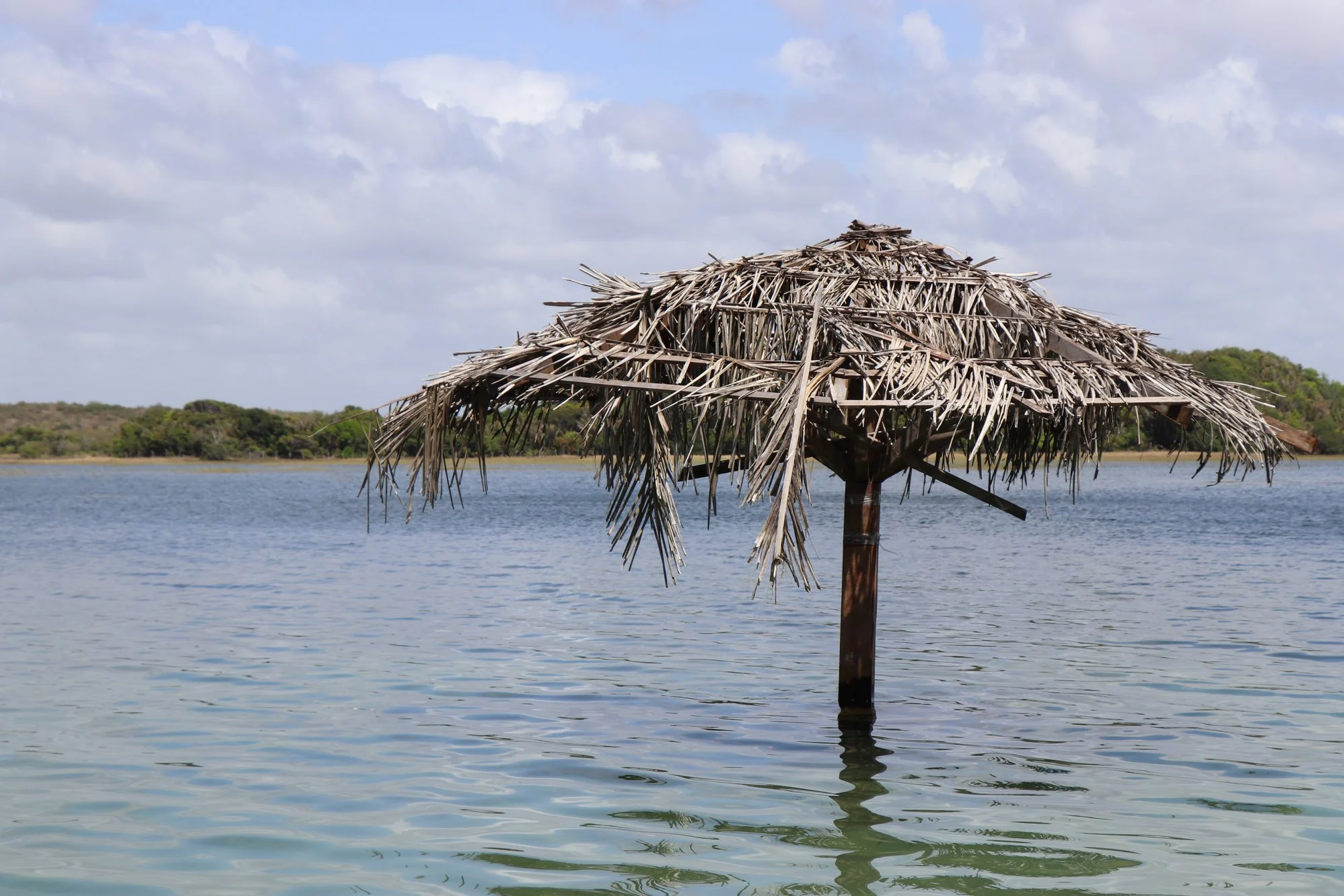 Foto do album Lagoa dos Tambaquis