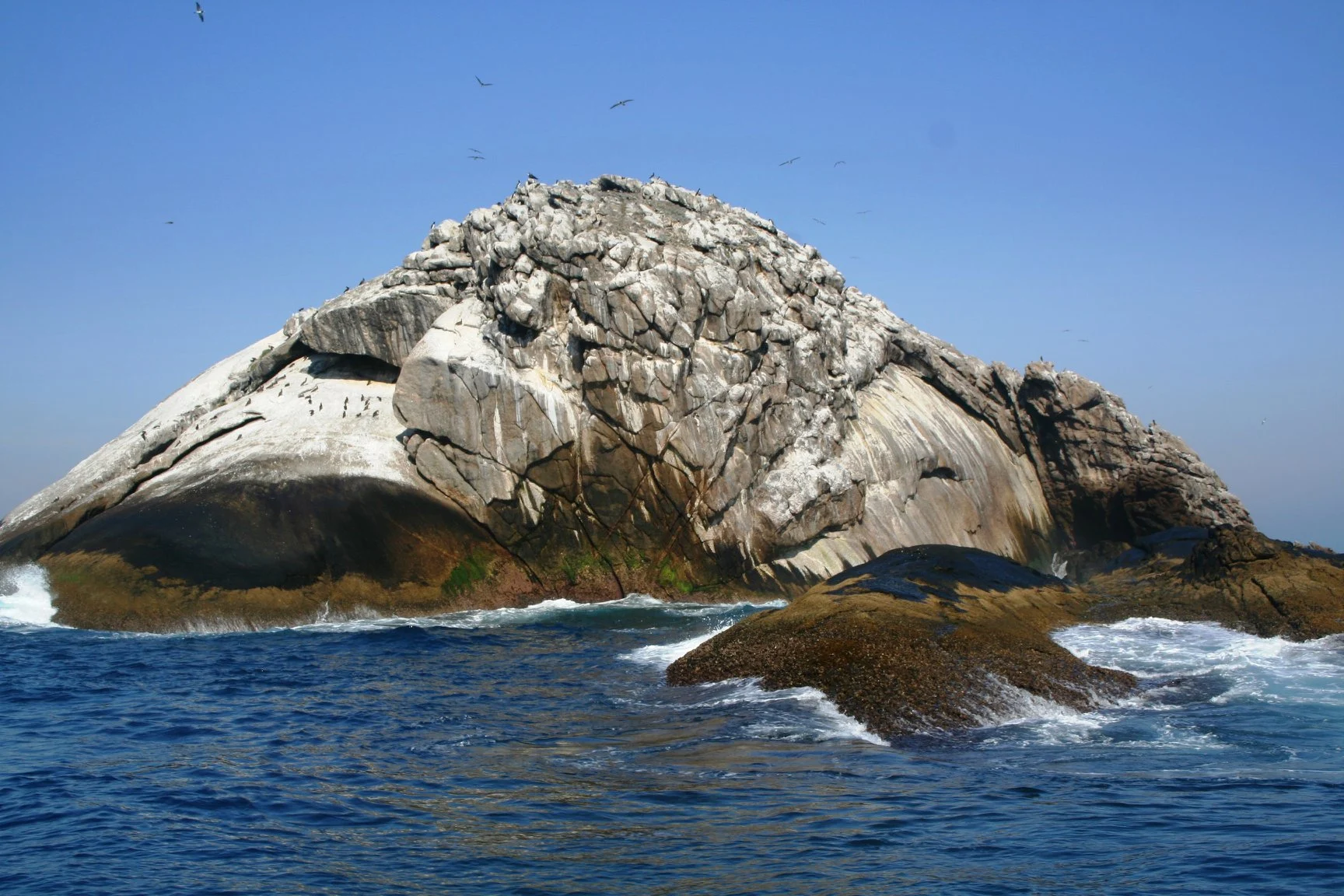 Formação rochosa do Parque Estadual Marinho da Laje de Santos