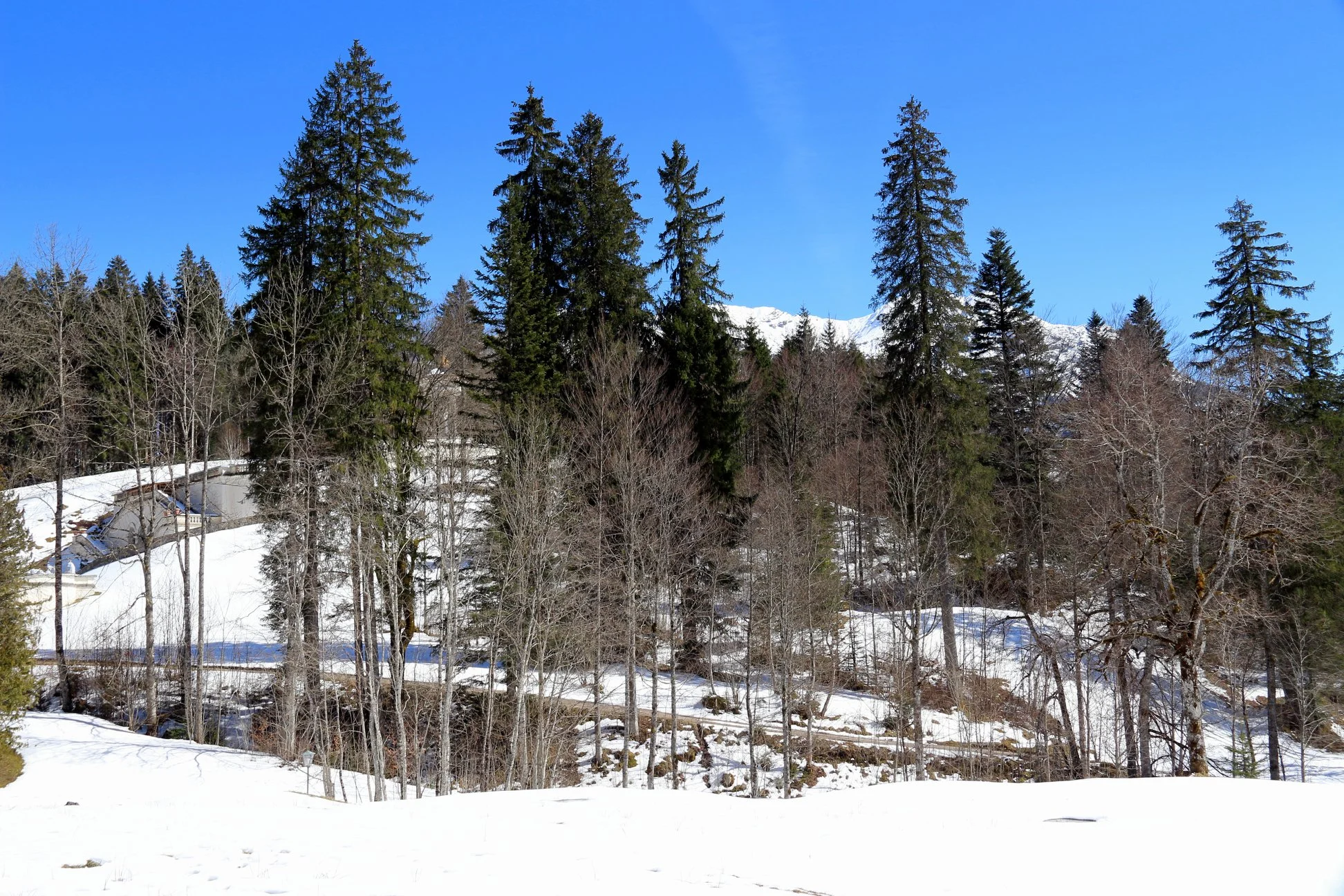Na primavera, mais próximo ao verão, é a melhor época pra se visitar Linderhof, pelo fato dos jardins estarem mais floridos, mas não se pode negar o charme da região em épocas com neve