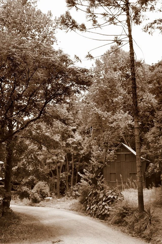 Foto do album Lindóia do Sul