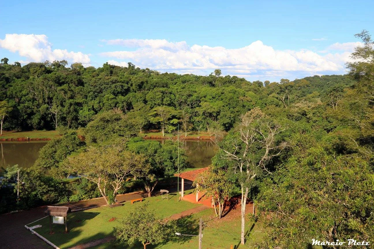 Parque Municipal Arthur Thomas