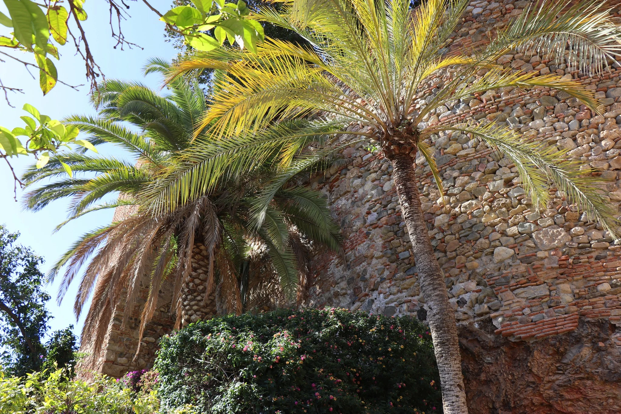Foto do album Málaga