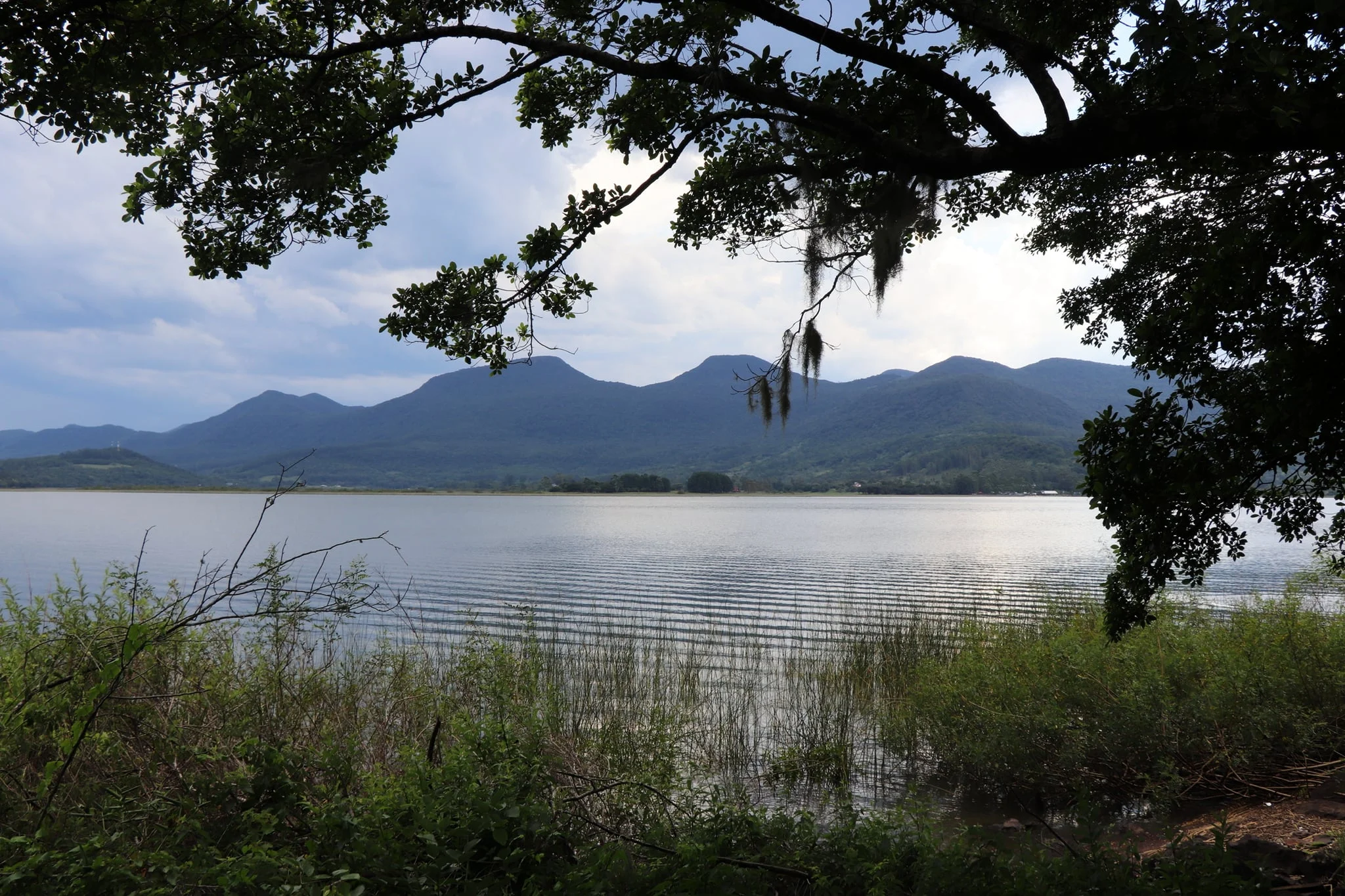 Lagoa dos Quadros