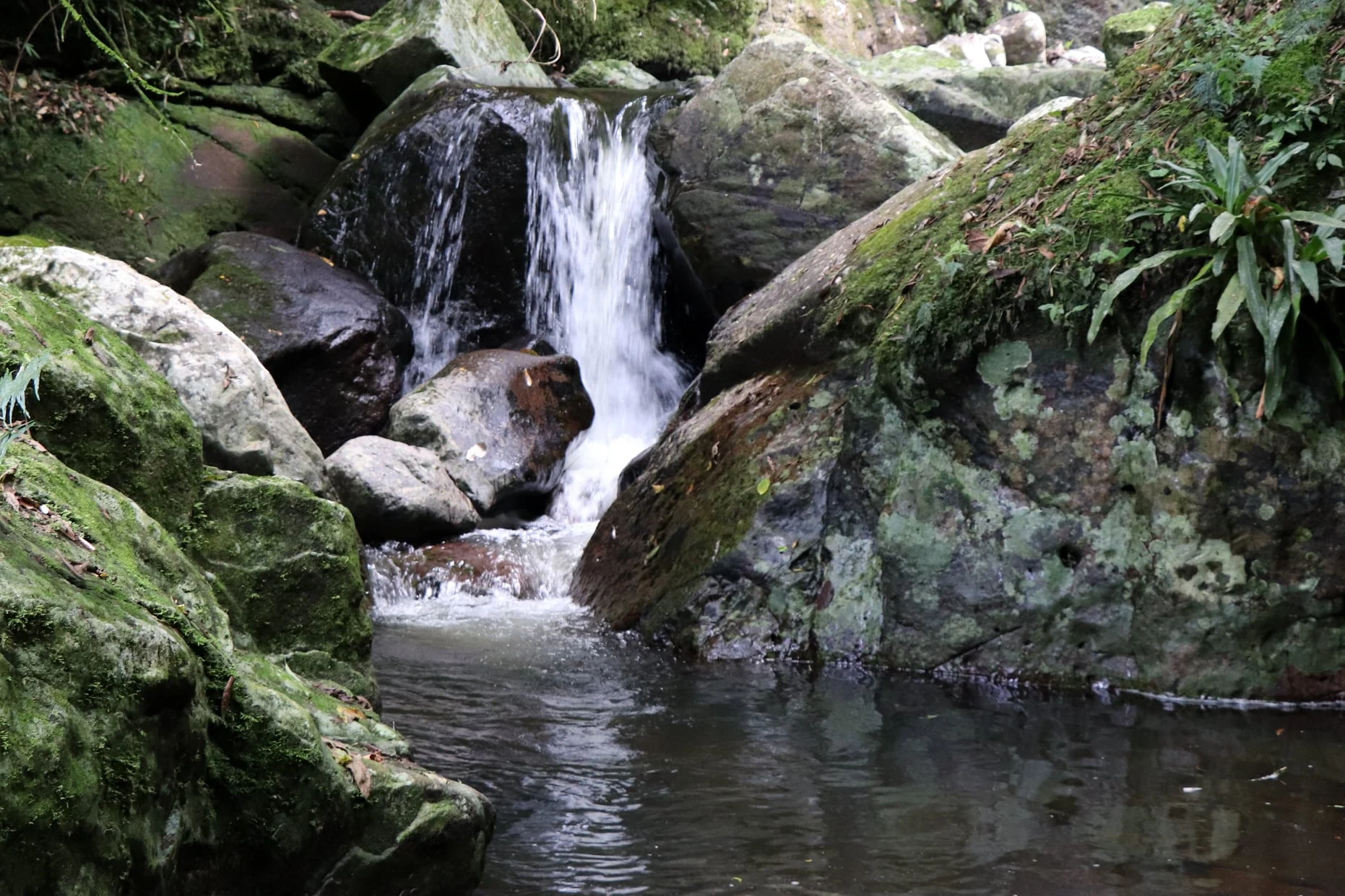 Foto do album Maquiné
