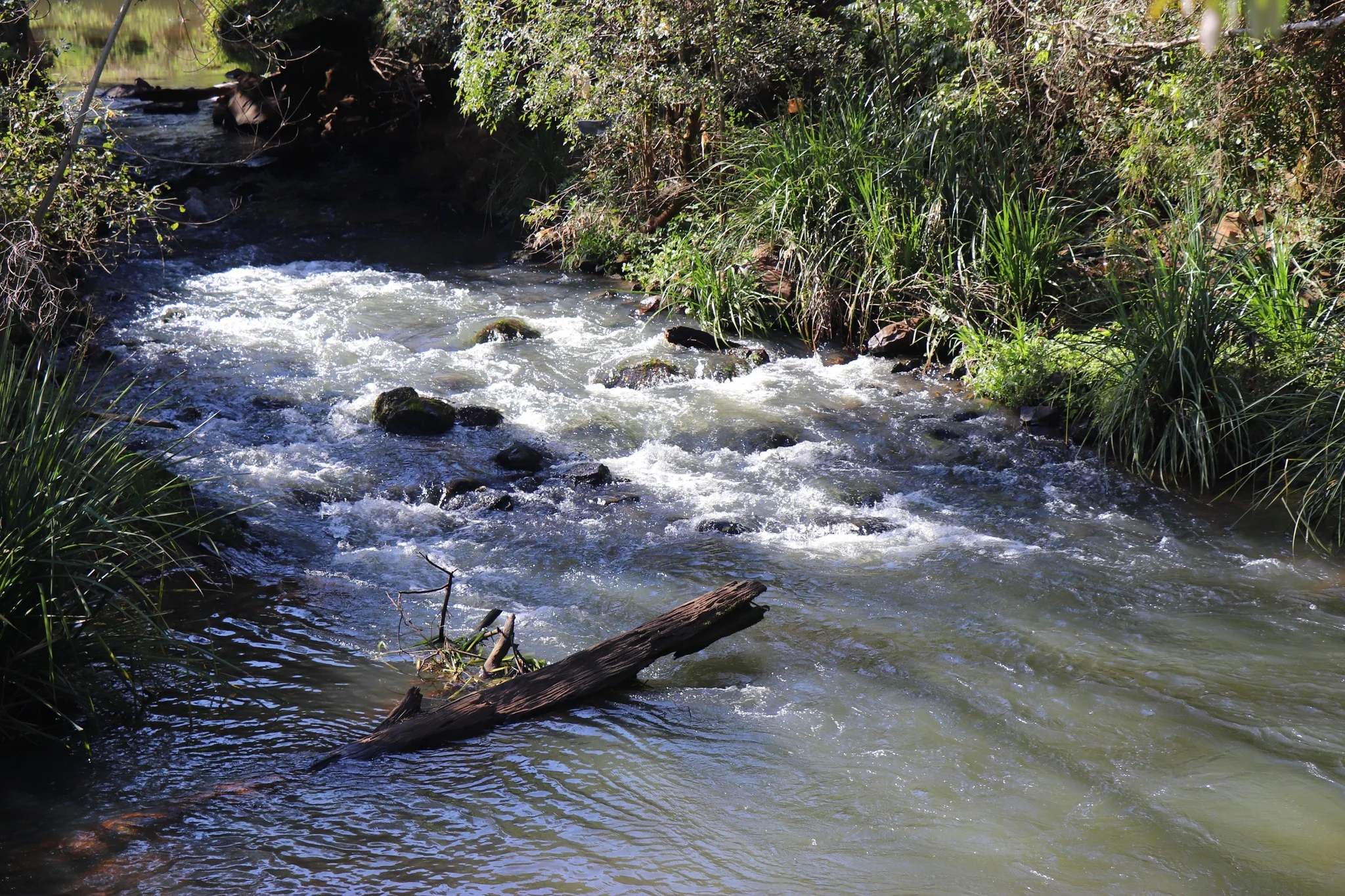 Foto do album Mariópolis