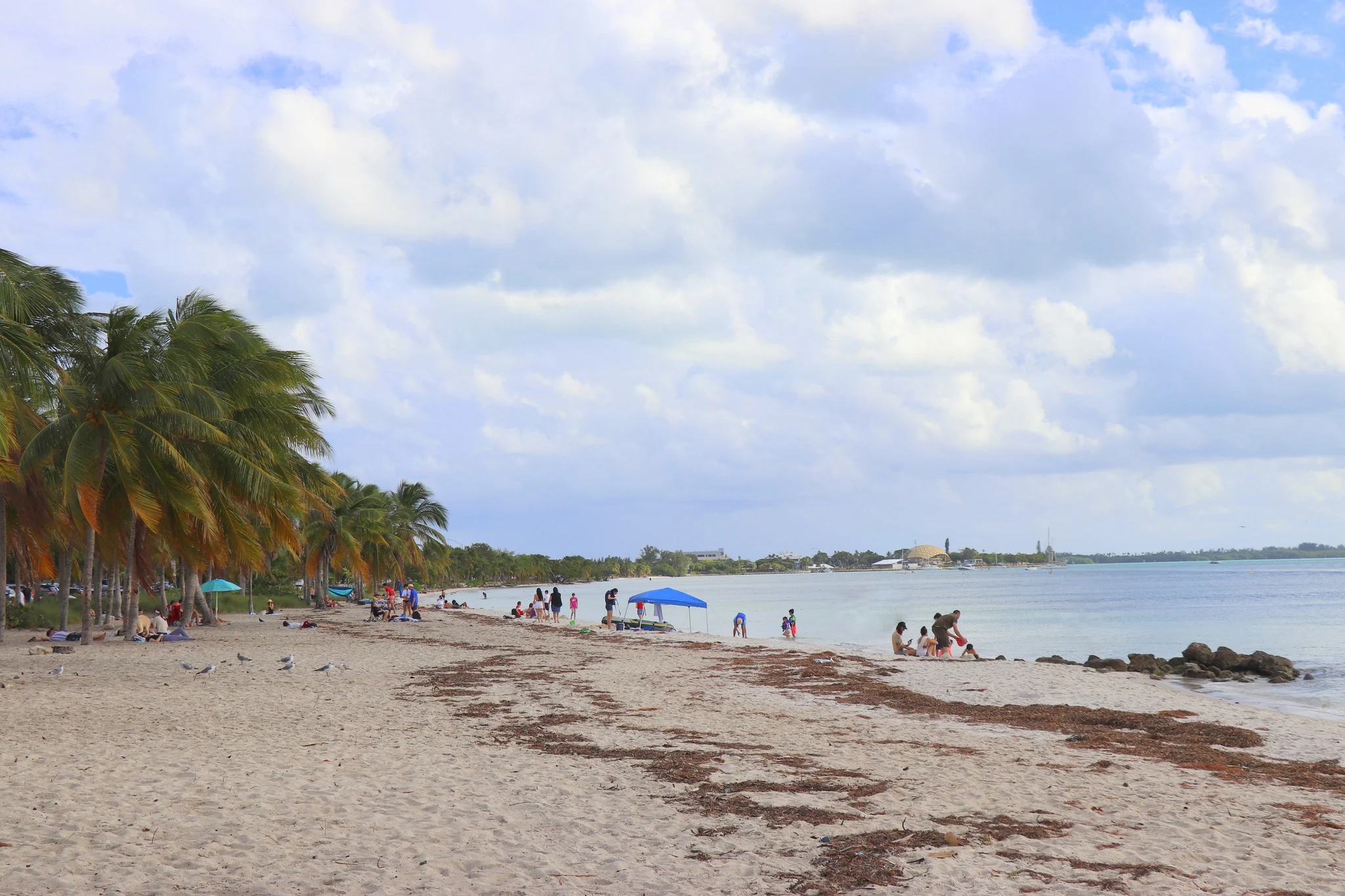 Foto do album Miami