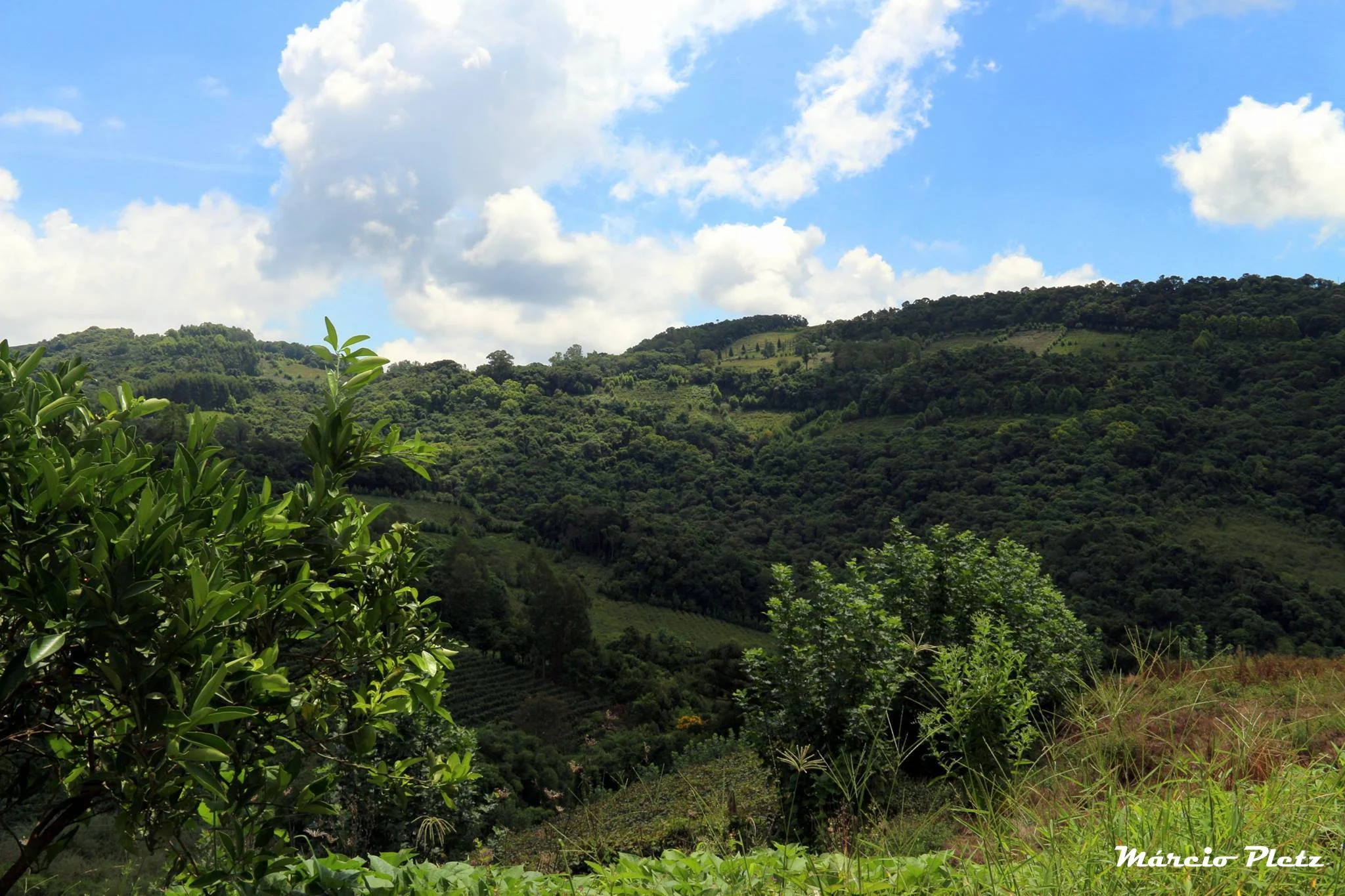 Foto do album Monte Belo do Sul