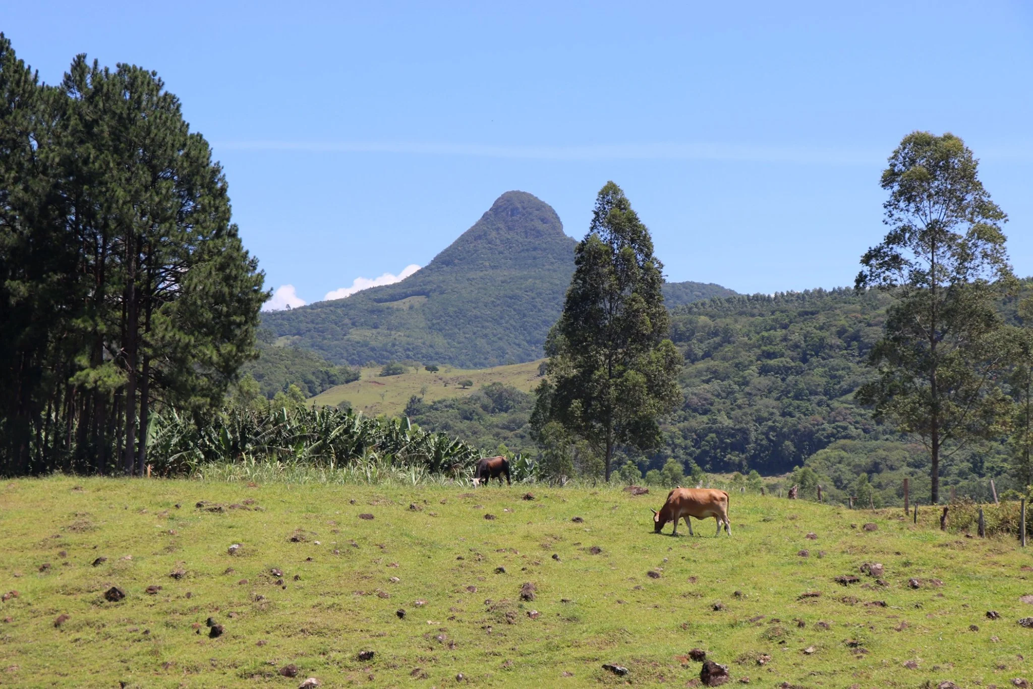 Foto do album Morrinhos do Sul