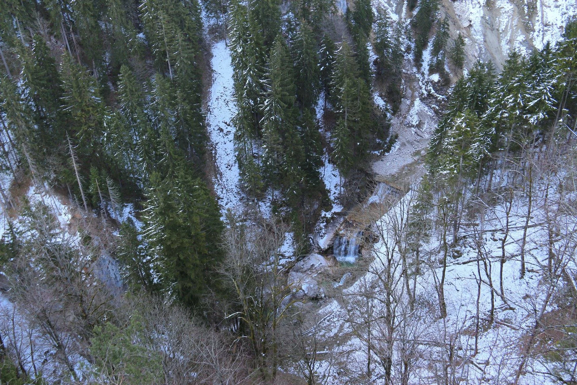 Detalhe da paisagem que se observa do pátio do Castelo de Neuschwanstein