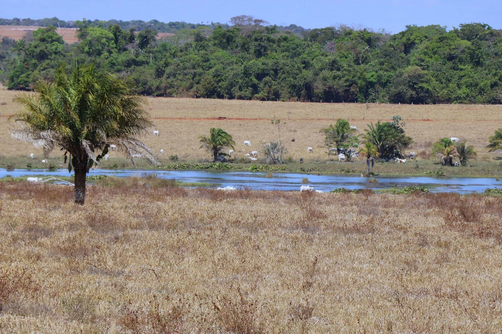 Foto do album Nova Marilândia