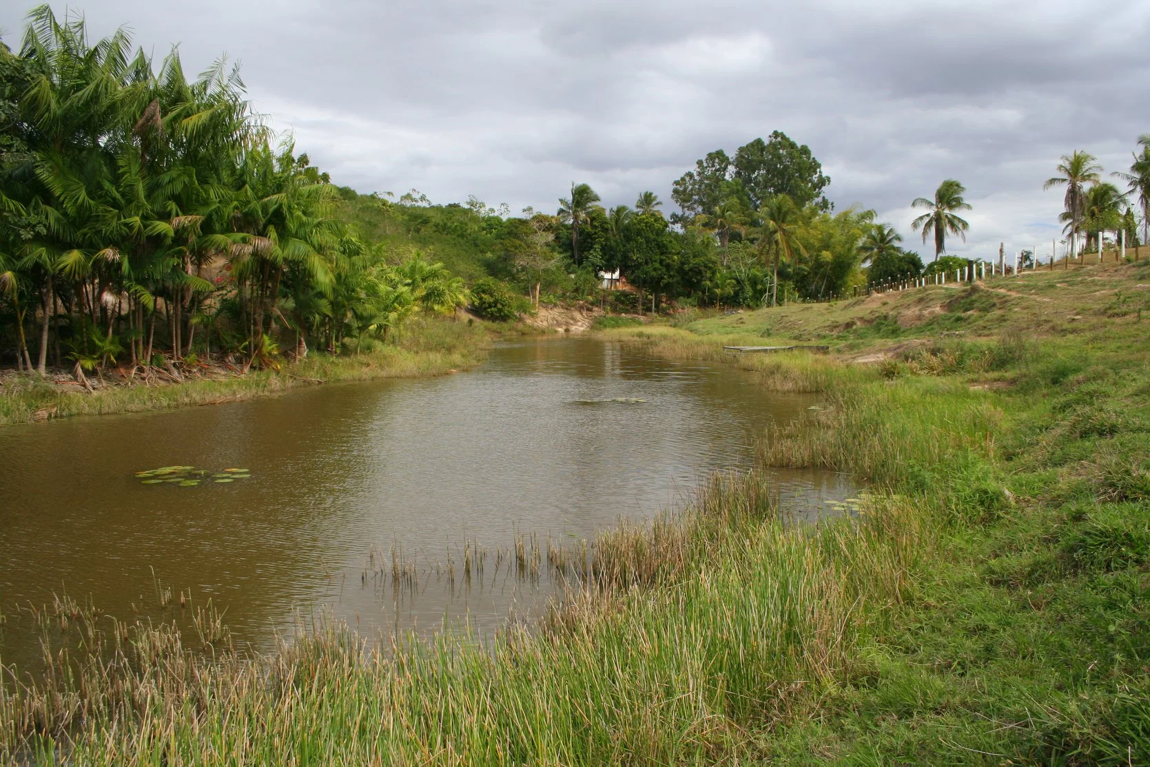 Foto do album Nova Venécia
