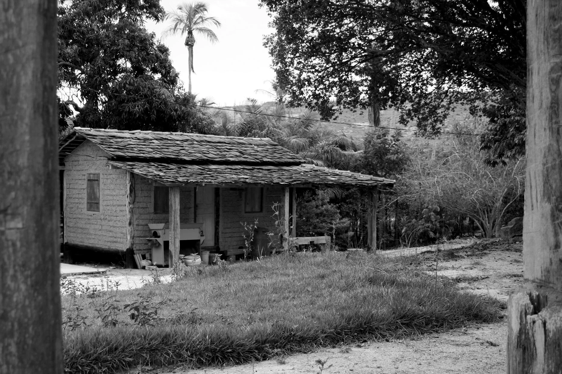 Foto do album Nova Venécia