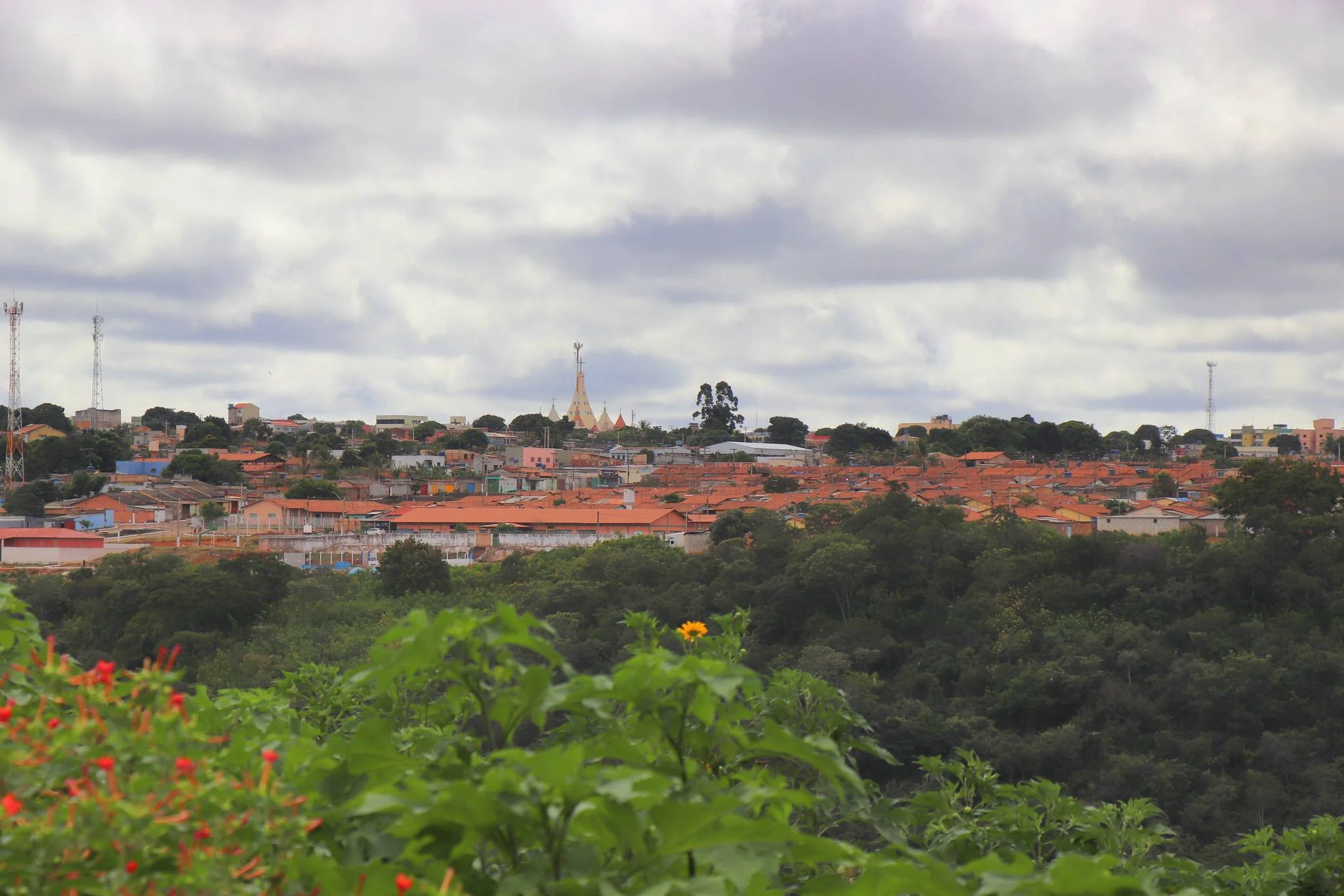 Foto do album Novo Gama