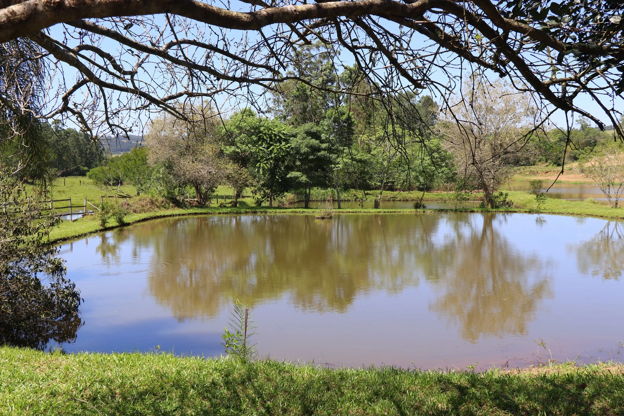 Foto do album Parobé