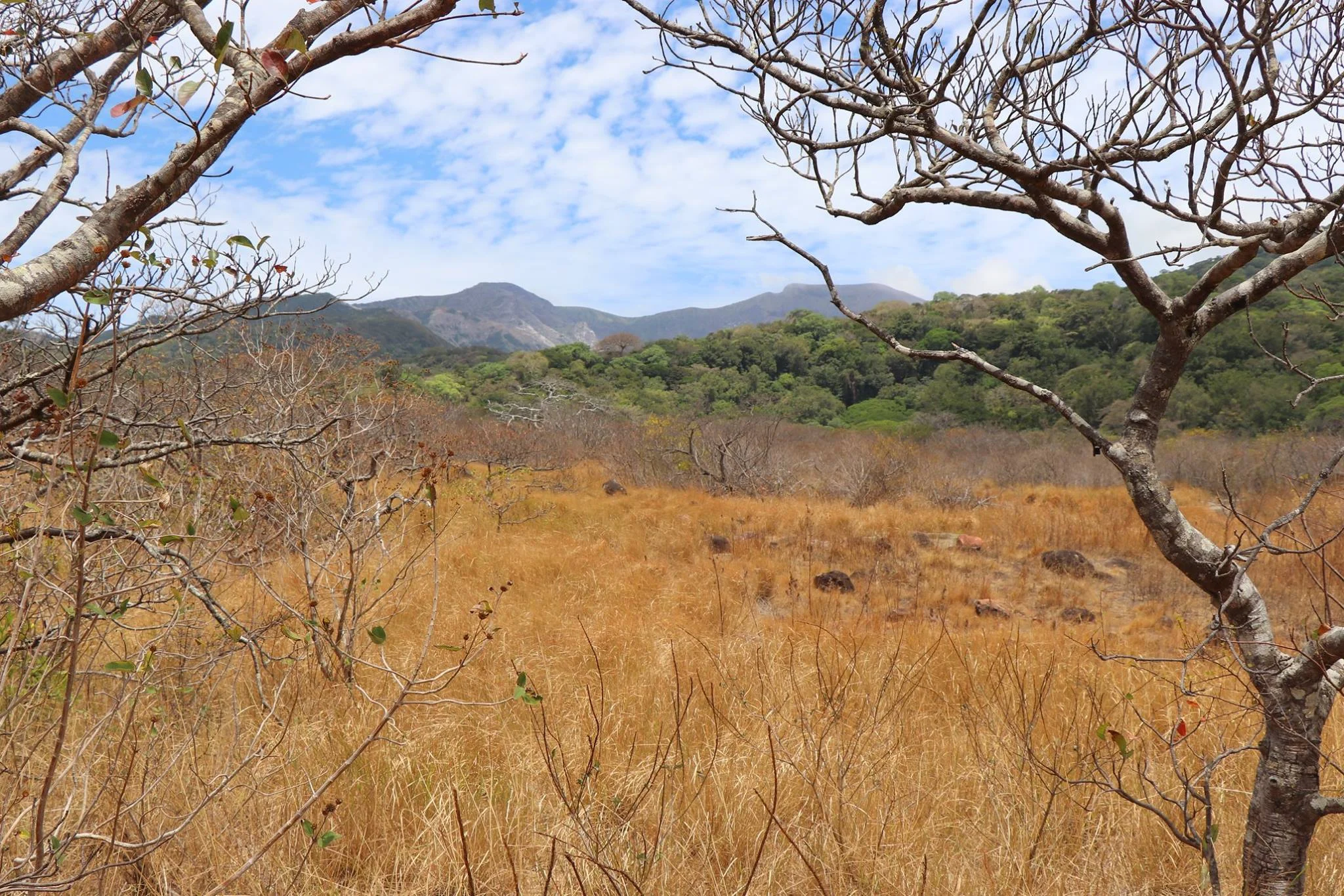 Foto do album Parque Nacional Rincón de la Vieja