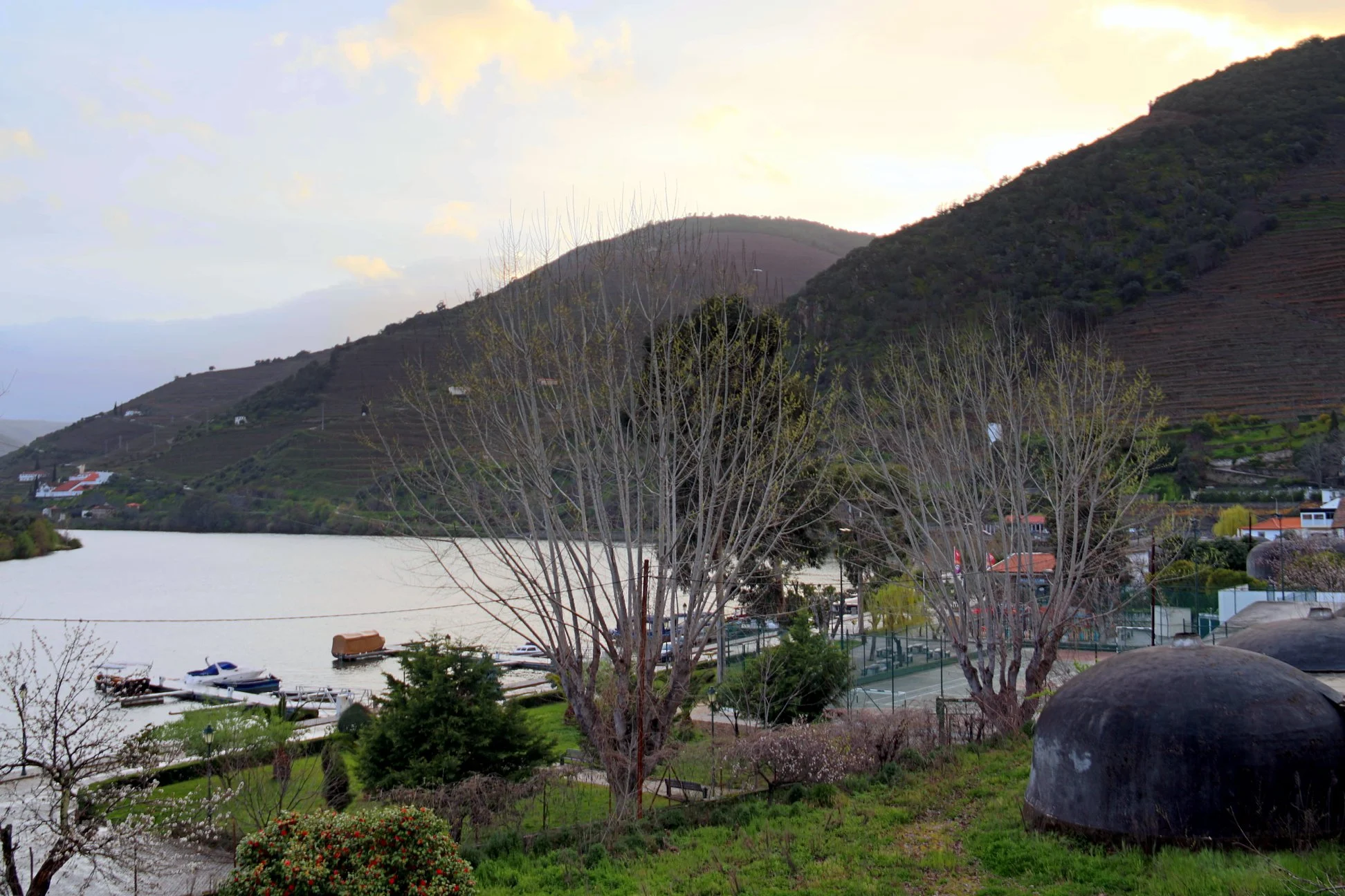 Foto do album Pinhão