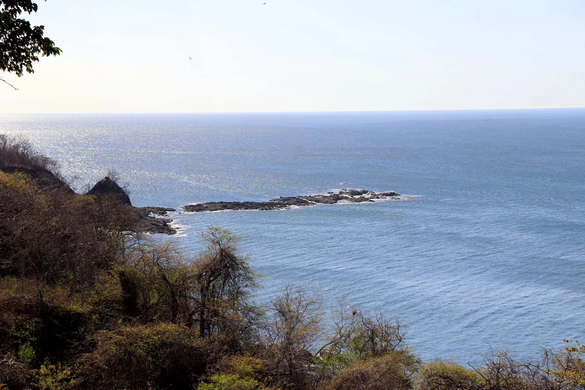 Foto do album Playa Bonita