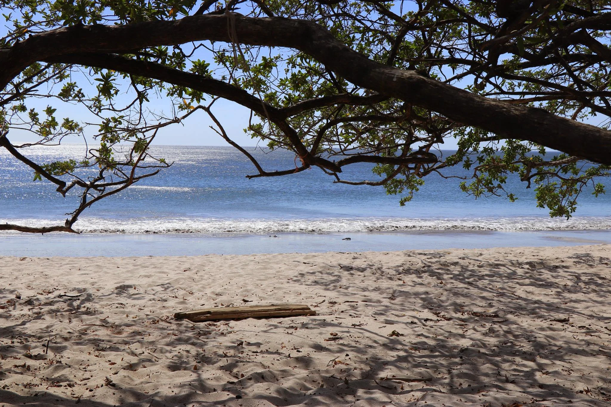 Foto do album Playa Flamingo