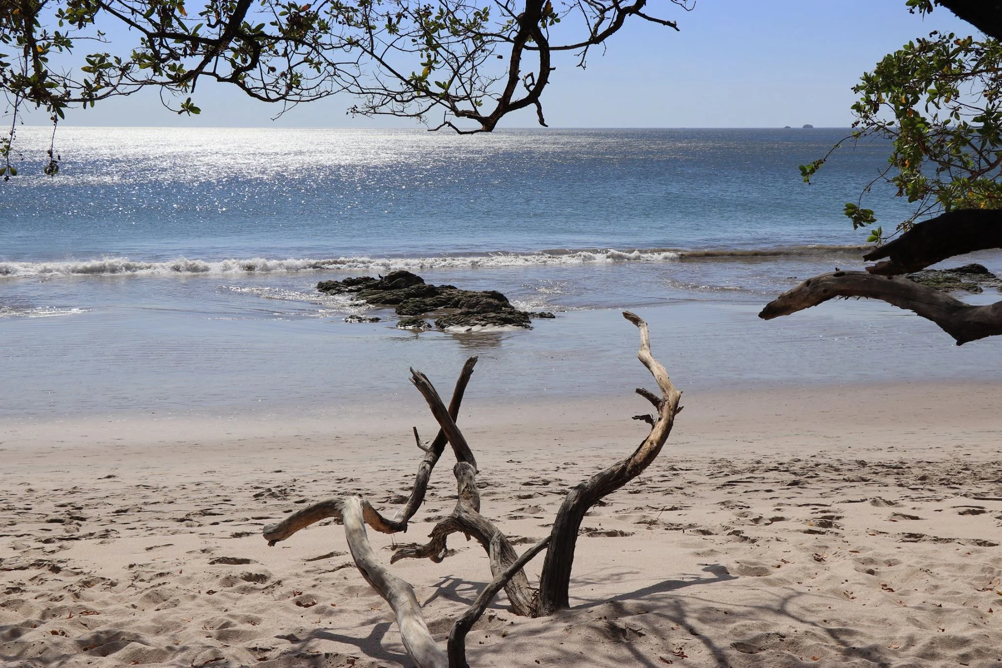 Foto do album Playa Flamingo