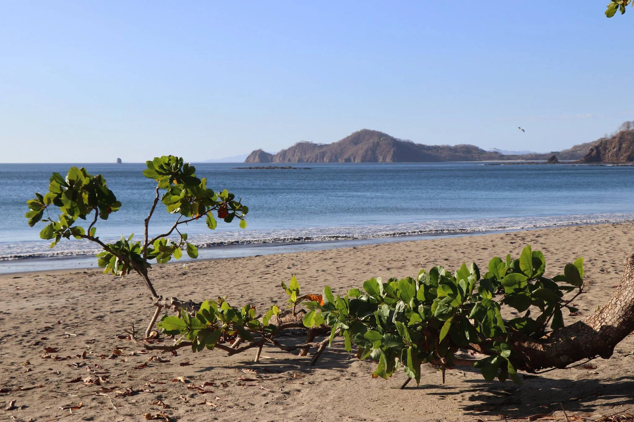 Foto do album Playa Hermosa